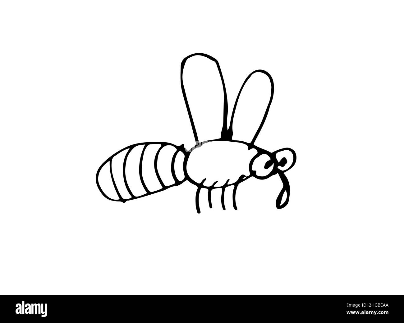 Ape volante. Schizzo di contorno. Divertente insetto comico. Il disegno a mano è isolato su sfondo bianco. Vettore Illustrazione Vettoriale