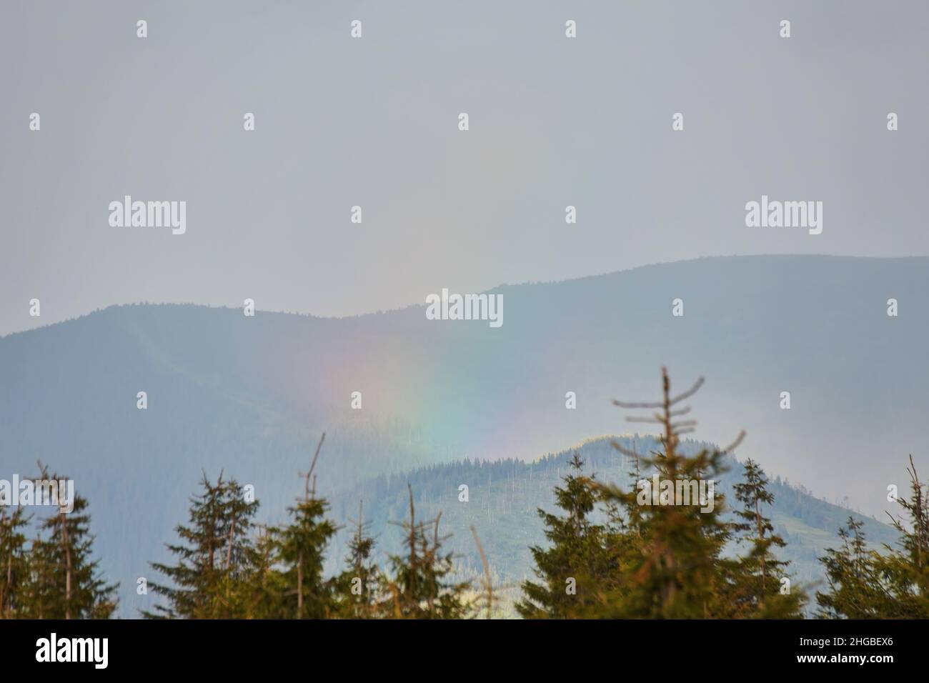 Paesaggio arcobaleno, pineta con montagne e cielo nuvoloso sullo sfondo. Foto Stock