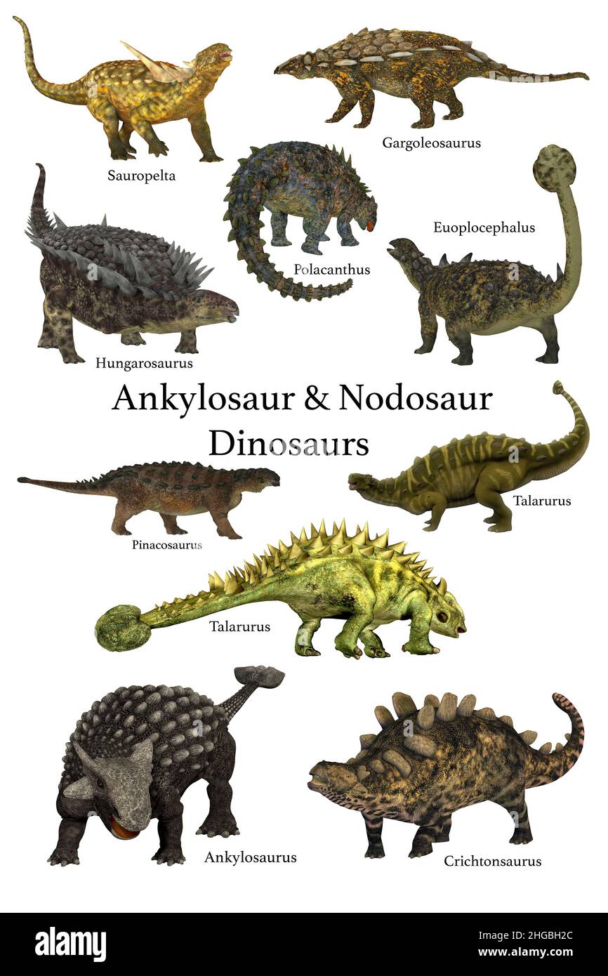 Una collezione di animali corazzati preistorici noti come dinosauri anchilosauri e dinosauri nodosauri. Foto Stock