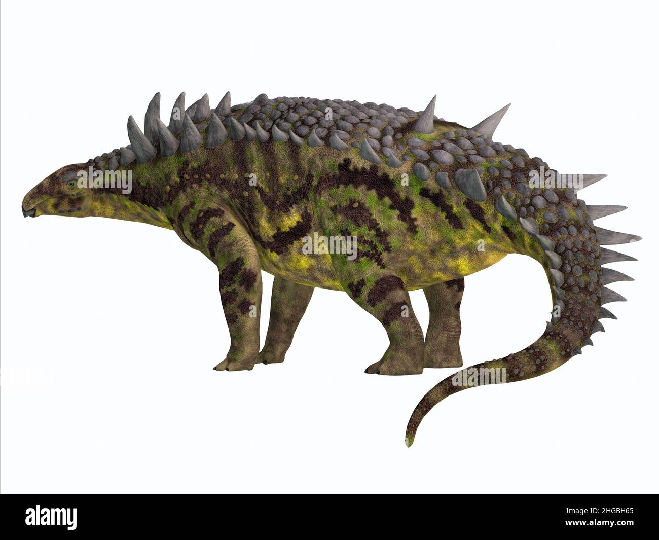 L'Hungarosaurus era un dinosauro erbivoro armorato Ankylosaurus che viveva in Ungheria durante il periodo cretaceo. Foto Stock