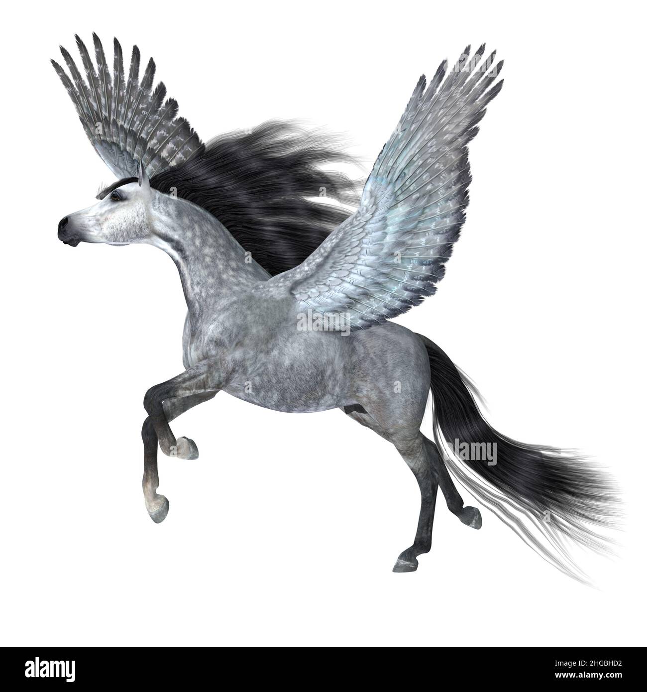 Uno splendido stallone Pegasus con dappled d'argento si decollera per il cielo sulle ali magiche. Foto Stock