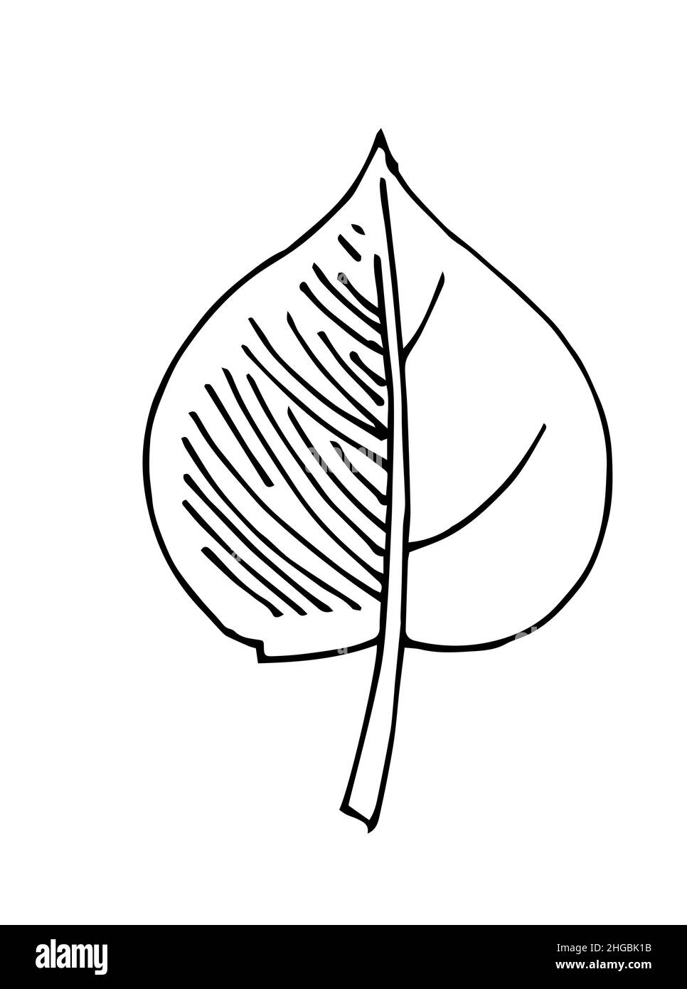 Foglia di albero. Disegno a mano del contorno. Schizzo isolato su sfondo bianco. Vettore Illustrazione Vettoriale