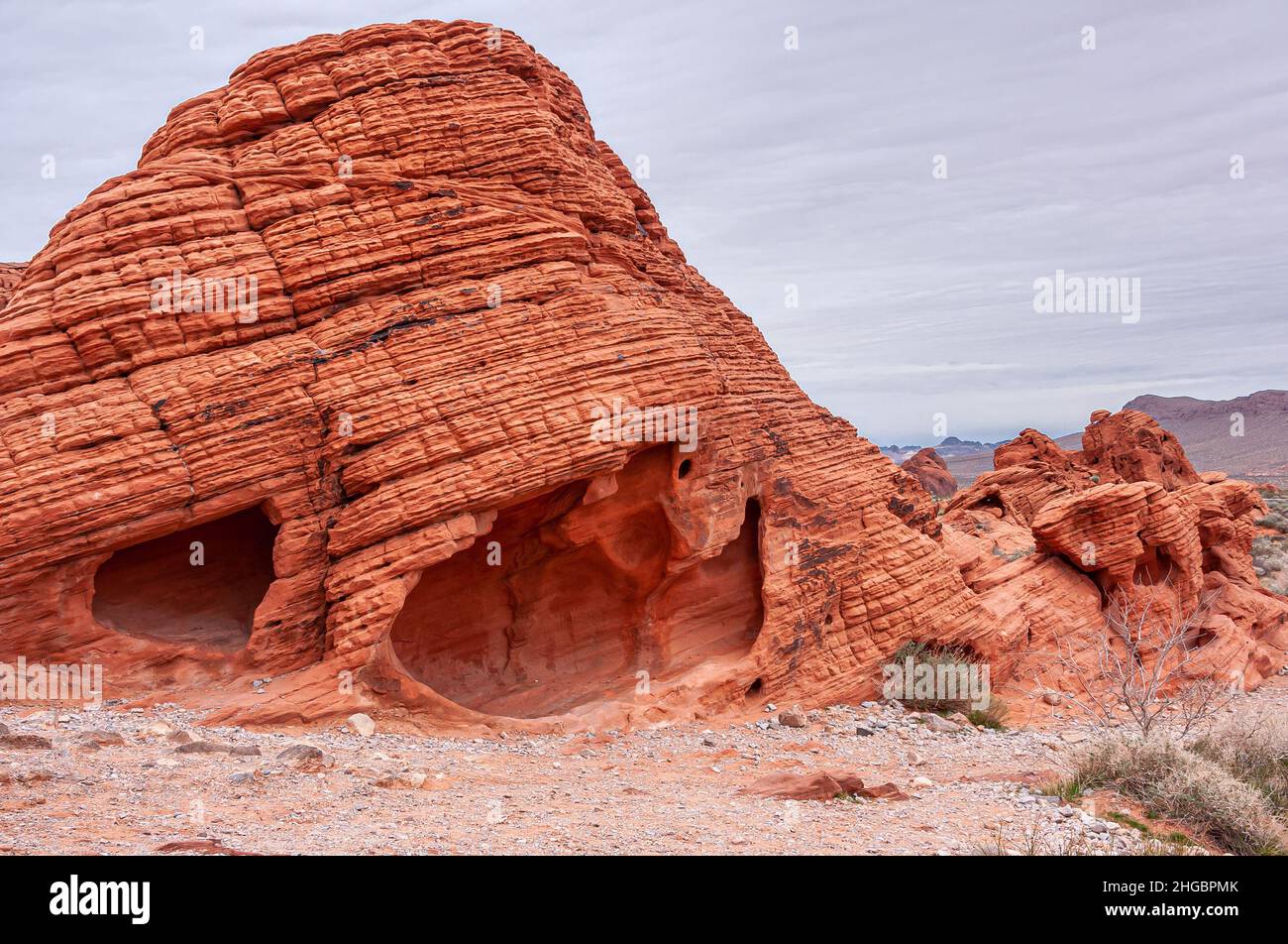 Overton, Nevada, USA - 24 febbraio 2010: Valle del fuoco. Primo piano di roccia rossa a forma di alveare con grande grotta in fondo sul pavimento del deserto asciutto sotto g spessi Foto Stock