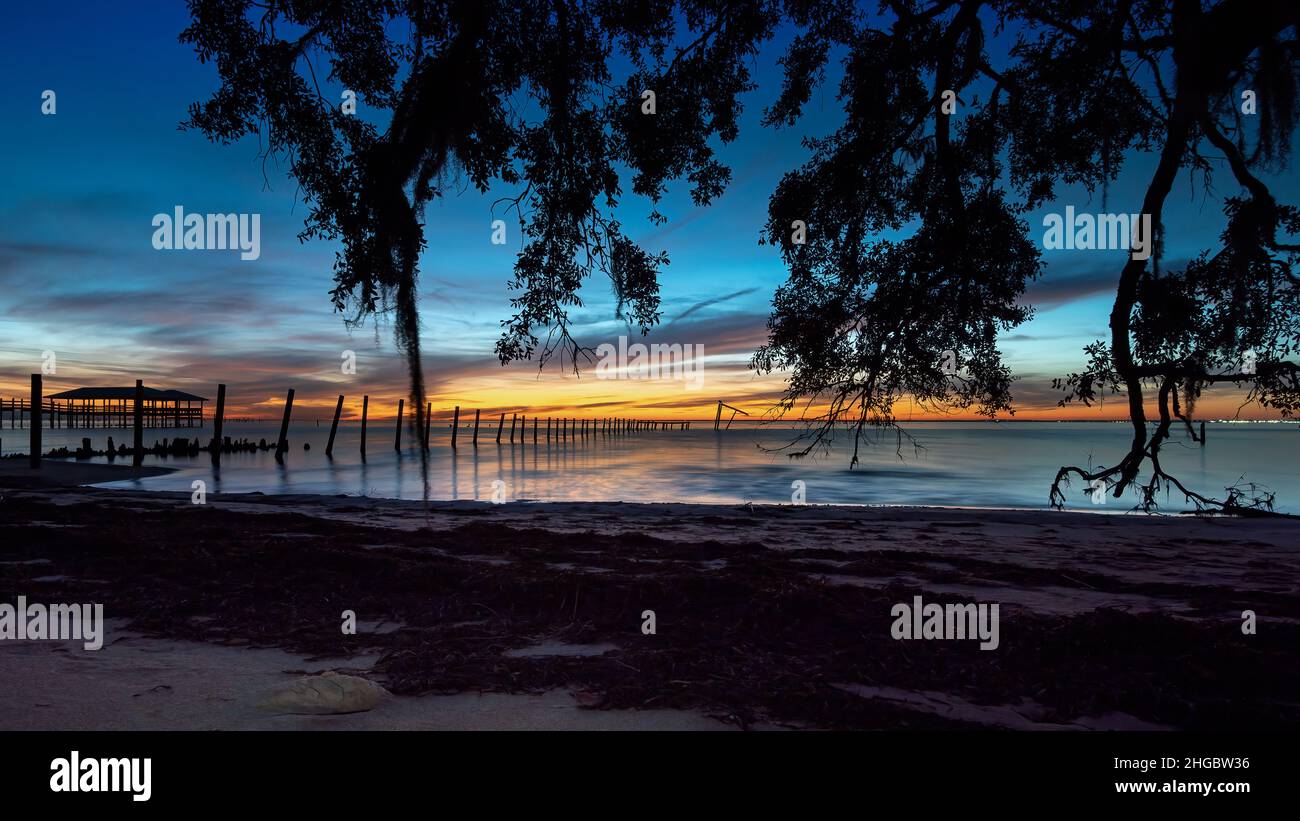 Live Oaks, Blue Hour, Pilings, Golfo del Messico, USA Foto Stock
