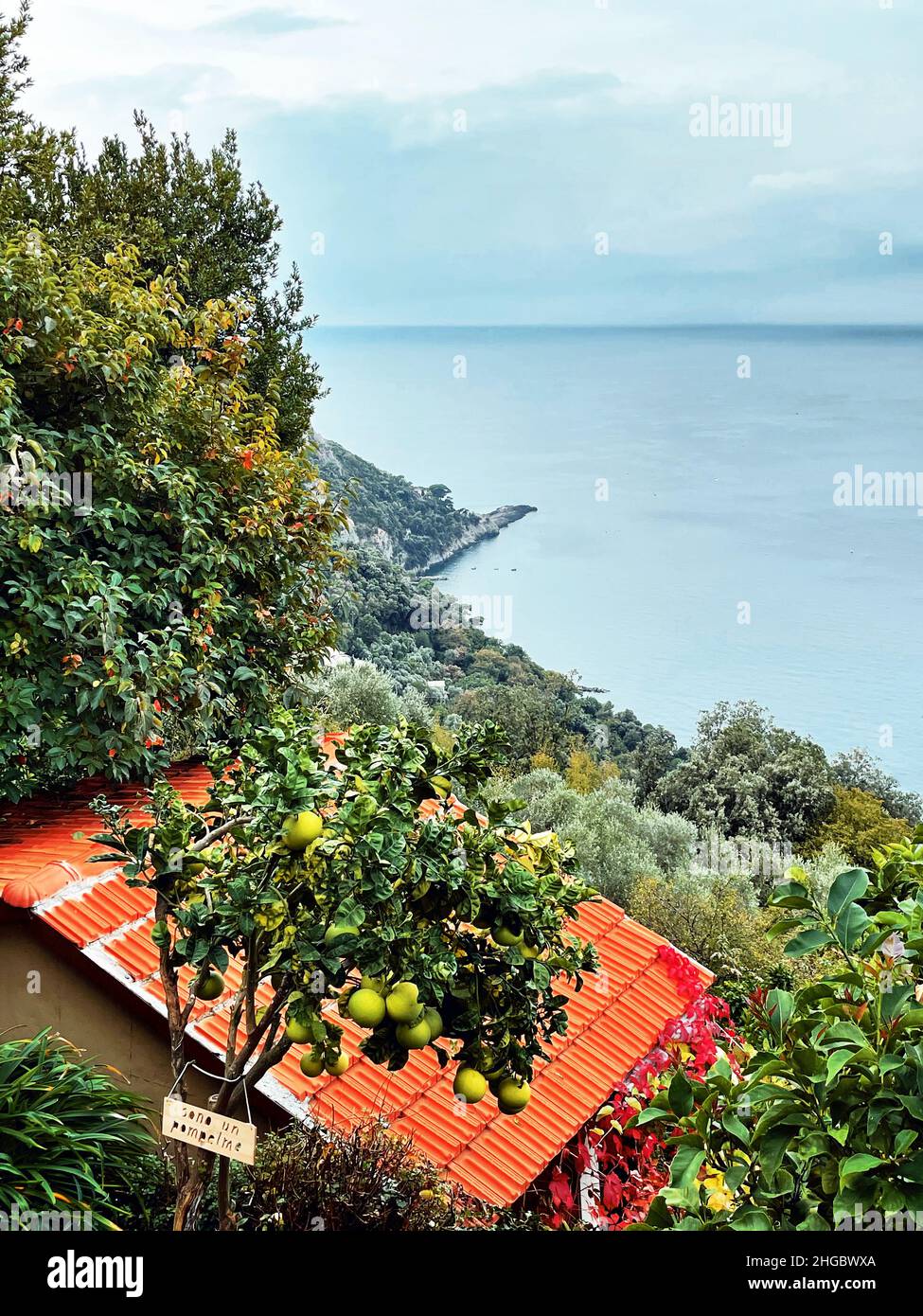 Punta Chiappa e limoni in liguria sentiero panoramico, Italia Foto Stock