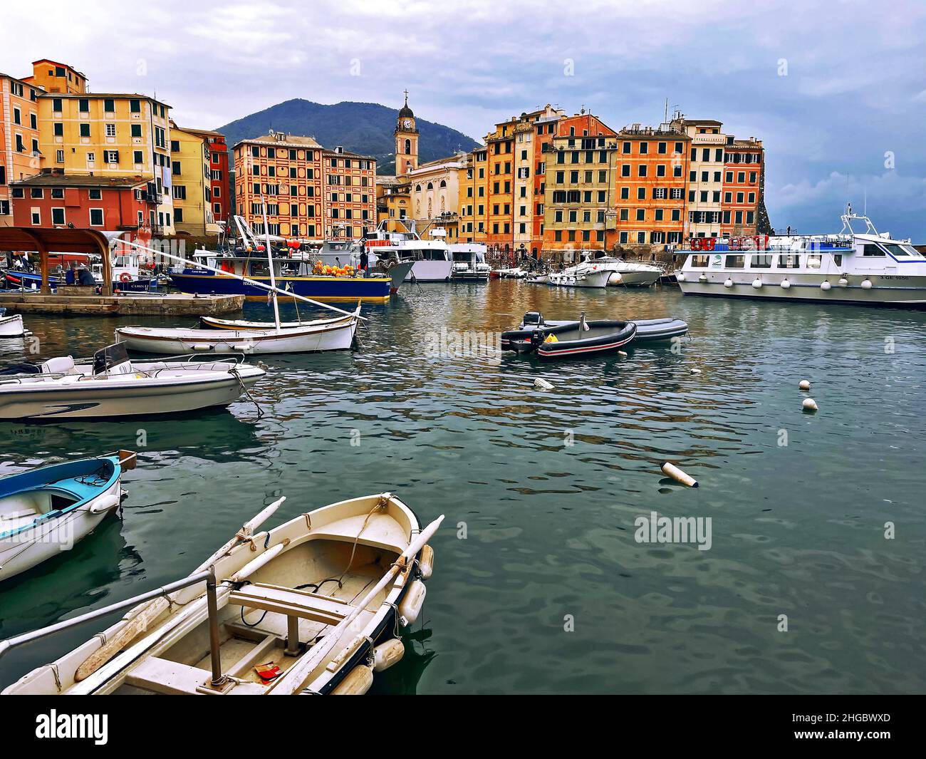 Porto di pescatori di Camogli porticciolo, Genova, Liguria, Italia Foto Stock