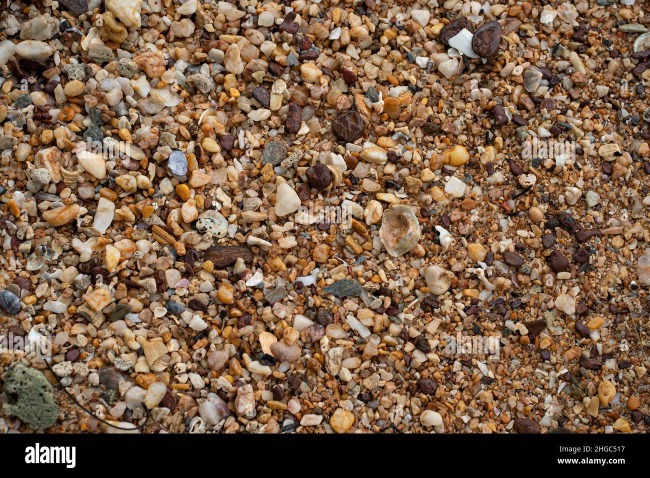 Una miriade di ciottoli trovati su una spiaggia. Punti di messa a fuoco selettivi Foto Stock