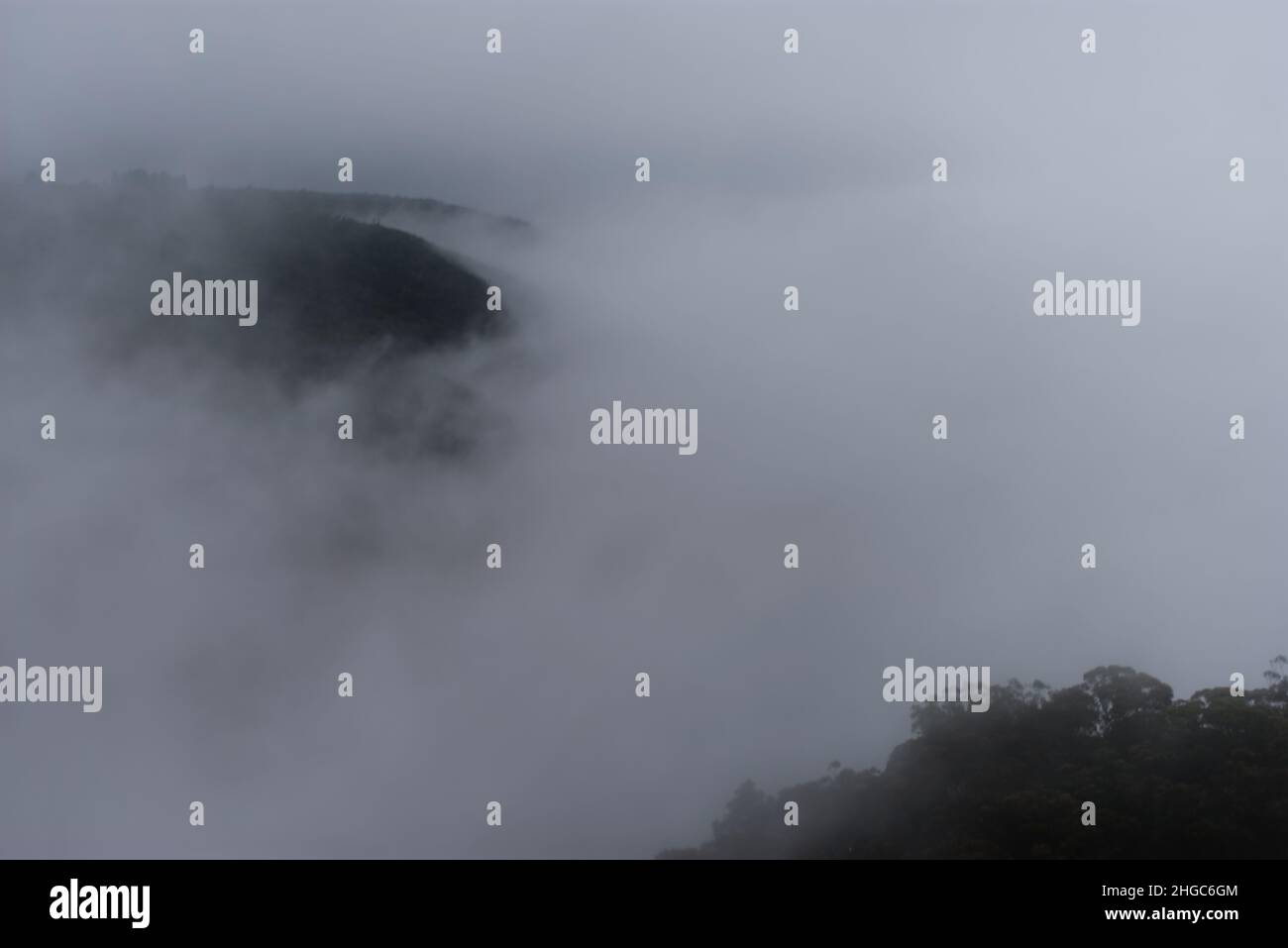 La nebbia avvolge una catena montuosa nelle Blue Mountains, NSW, Australia. Foto Stock