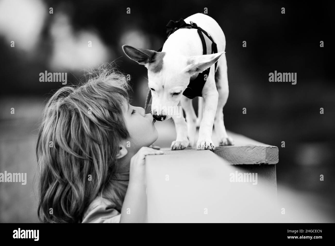 Un bambino adorabile con un cane che cammina all'aperto. Foto Stock