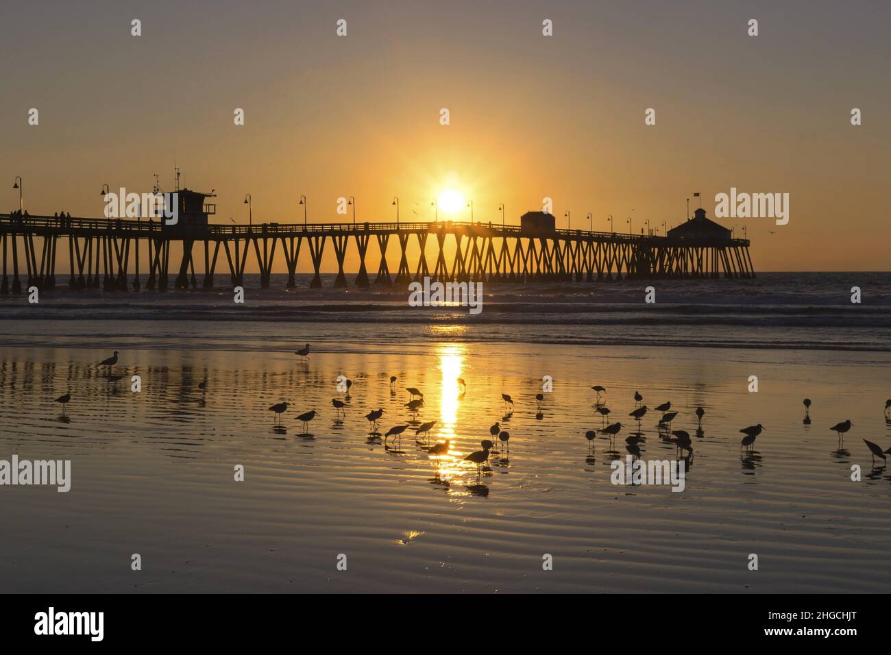 Seagull Birds e Scenic Sunset Sky si riflettono nel Pacific Ocean Surf Waterfront sopra il distante Imperial Beach Pier a San Diego, California meridionale USA Foto Stock