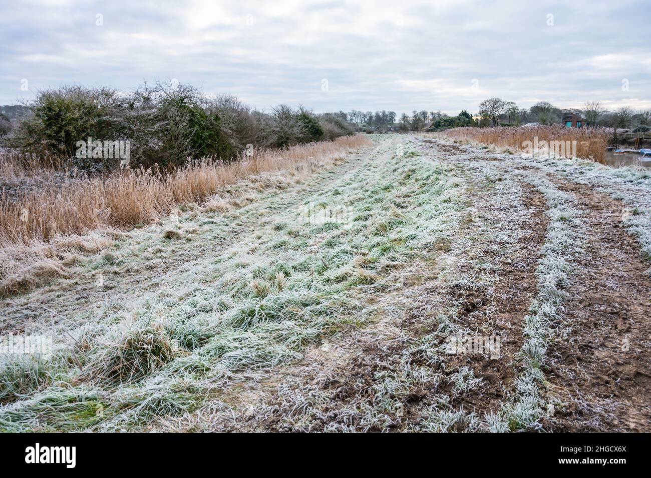 Gelo campo coperto e l'erba in una mattina fredda in inverno in Inghilterra, Regno Unito. Foto Stock