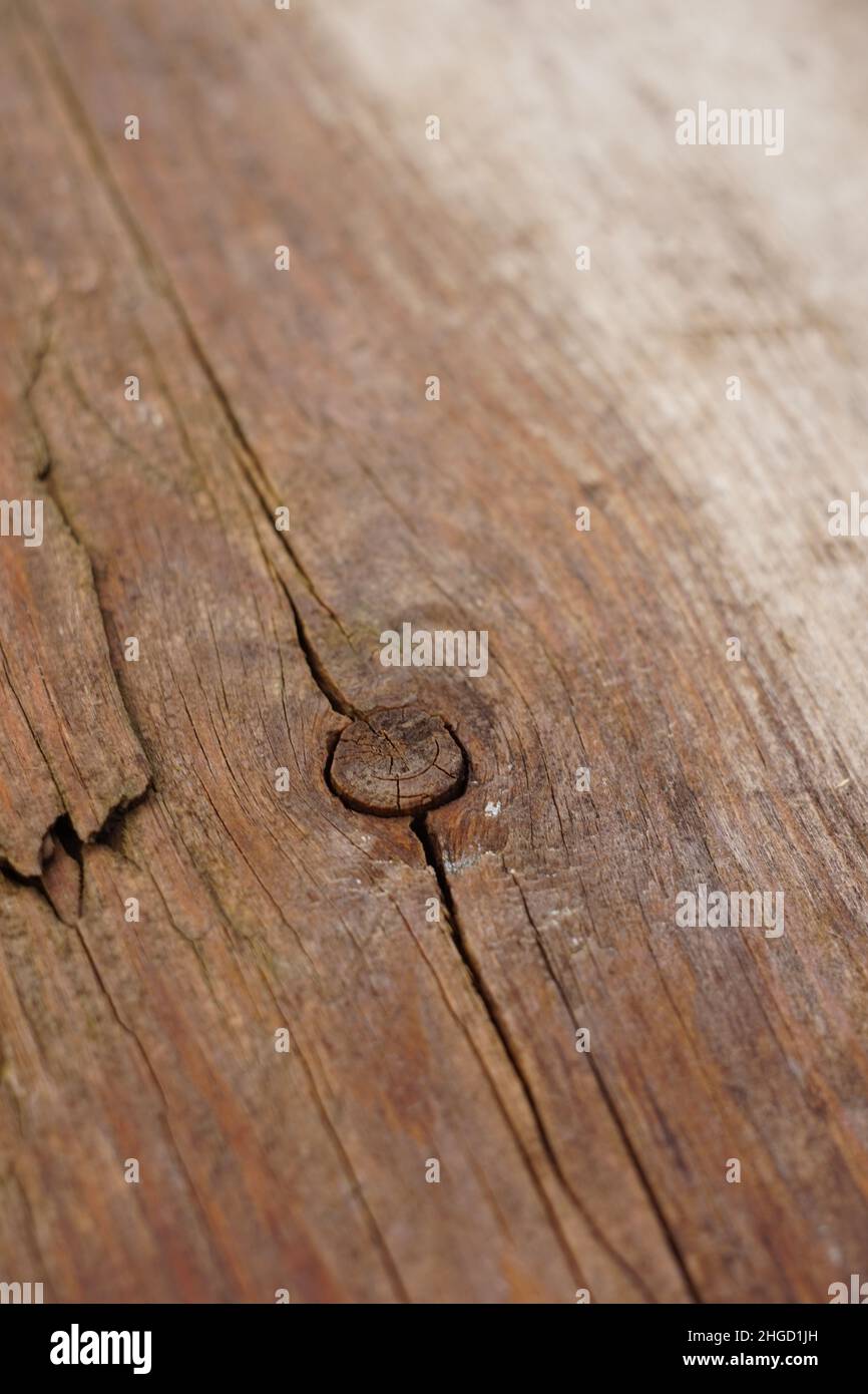 Vecchio rustico sfondo in legno intemperiato in marrone umido con un nodo. Foto Stock