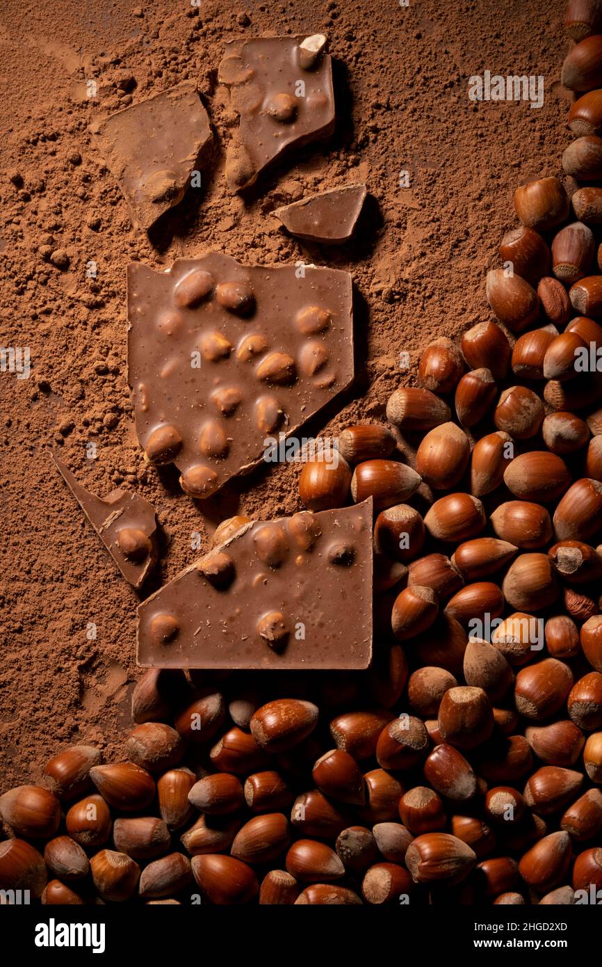 Fondo di cioccolato fondente con pezzi di cioccolato alle nocciole, filberti crudi interi e polvere di cacao Foto Stock