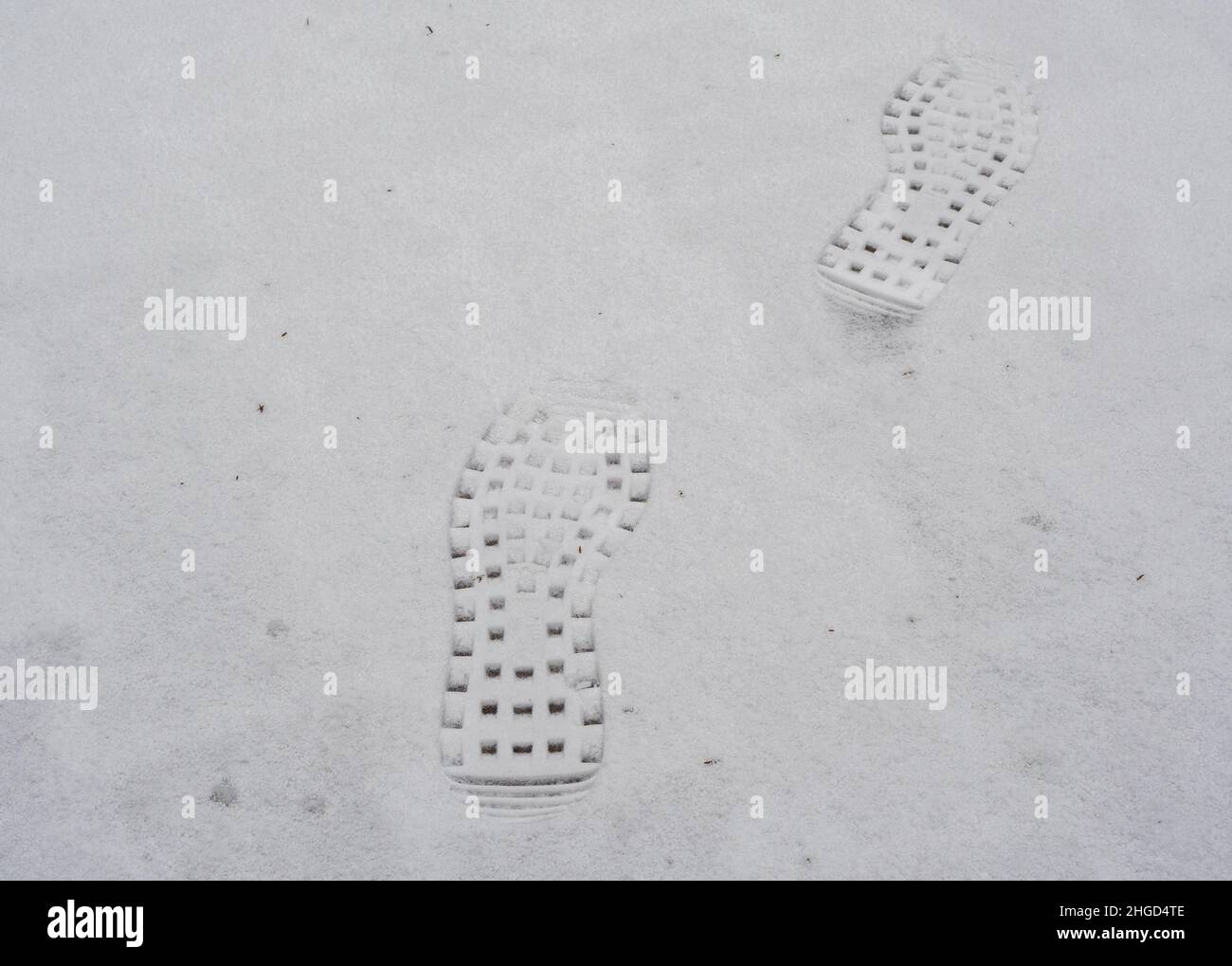impronta sullo sfondo della neve Foto Stock