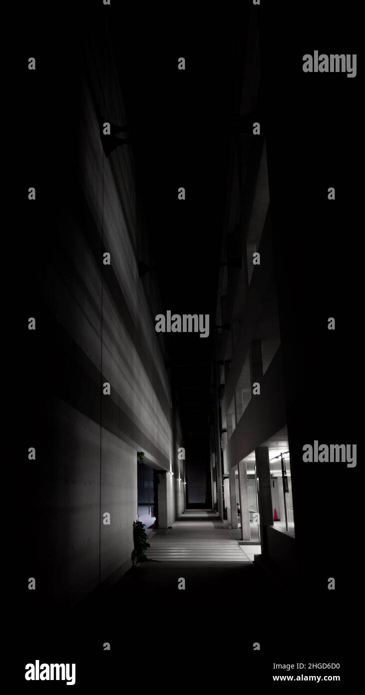 bella parete illuminata dall'interno dell'edificio, catturata di notte ad atene Foto Stock