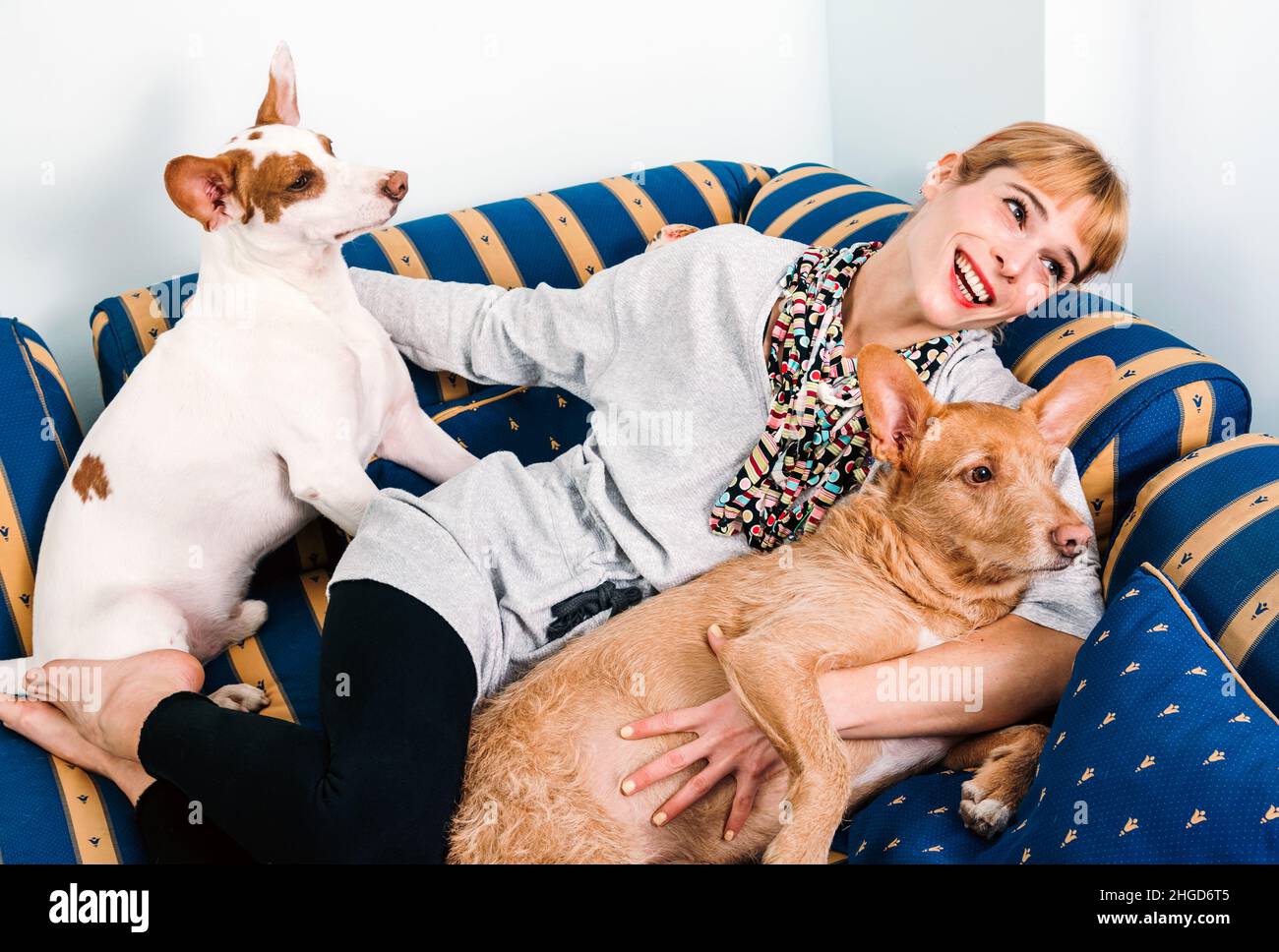 Allegro proprietario femminile che si trova sul divano blu e abbraccia due carini Pharaoh Hound cani in soggiorno leggero a casa Foto Stock