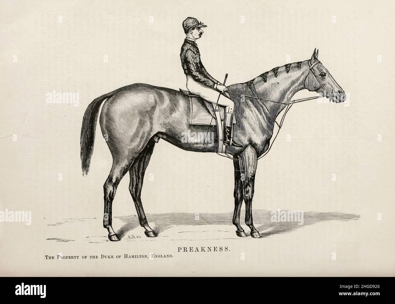 Preakness (1867–1881) è stato un cavallo da corsa americano di Thoroughbred. Fu assiriato dal famoso leader Lexington da un mare chiamato Bay Leaf. Preakness è stato da Milton Holbrook Sanford's Preakness Stud a Preakness, Wayne Township, New Jersey. Tratto da C. Lloyd dal libro " Famous American Race horses " pubblicato nel 1877 da Porter e Coates Philadelphia, Foto Stock