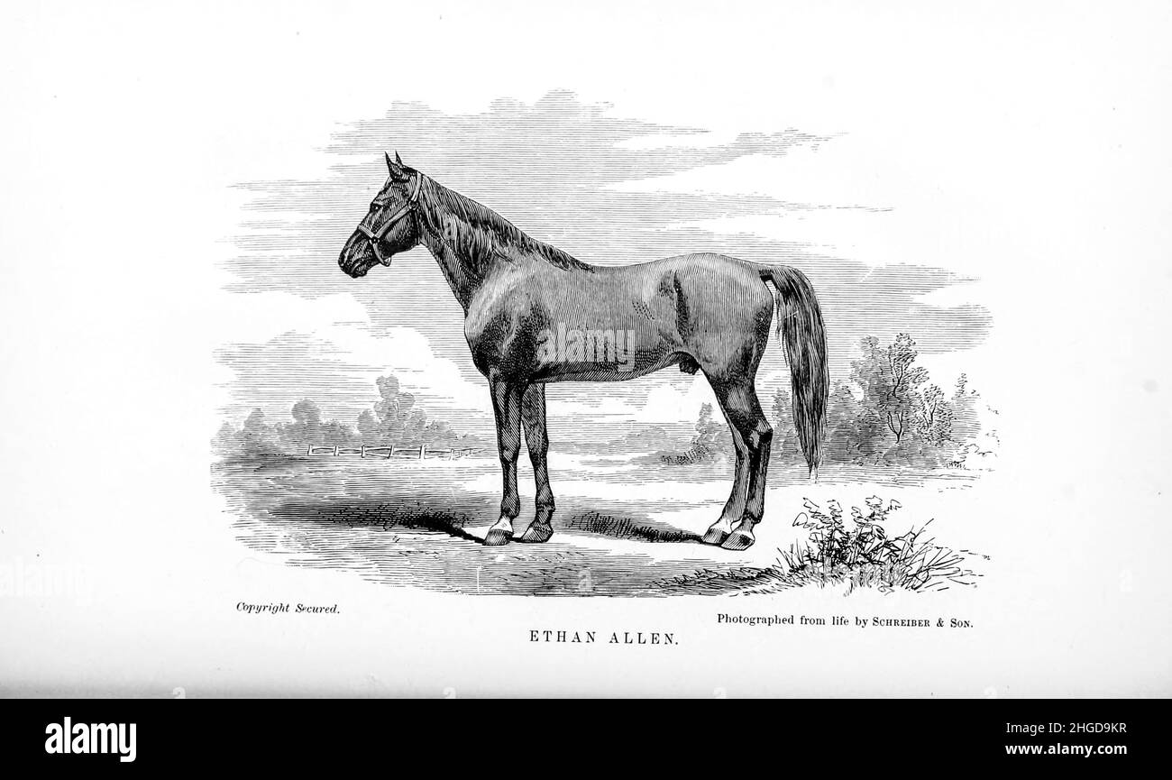 Ethan Allen (18 giugno 1849 – 10 settembre 1876) è stato un cavallo Morgan potente e cavallo da corsa per trotto. Da cyclopedia di ogni proprietario di cavallo: L'anatomia e la fisiologia del cavallo; caratteristiche generali; i punti del cavallo, con le indicazioni su come sceglierlo; I principi di allevamento, e il tipo migliore da cui riprodursi; il trattamento del mare di covata e del fallo; allevare e rompere il puledro; stalle e gestione stabile; equitazione, guida, ecc., ecc. malattie, e come curarli. I principali farmaci, e le dosi in cui possono essere somministrati in modo sicuro; incidenti, fratture Foto Stock