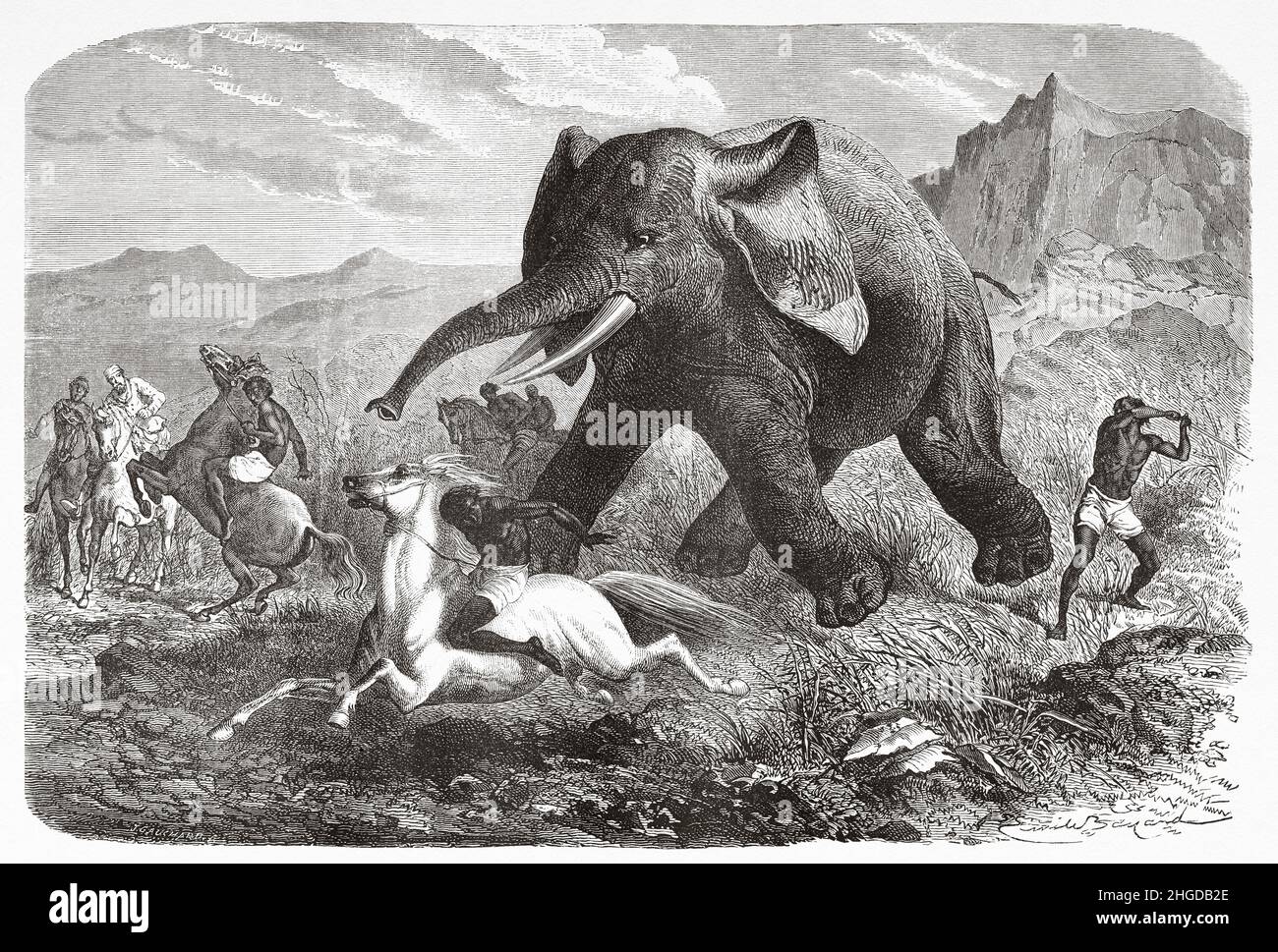 Scena di caccia. Elefante caccia di spada, Abissinia. Africa. Vecchio 19th secolo inciso illustrazione dall'esplorazione dei affluenti del Nilo di Abyssinia, 1861-1862 da Samuel Baker, le Tour du Monde 1870 Foto Stock