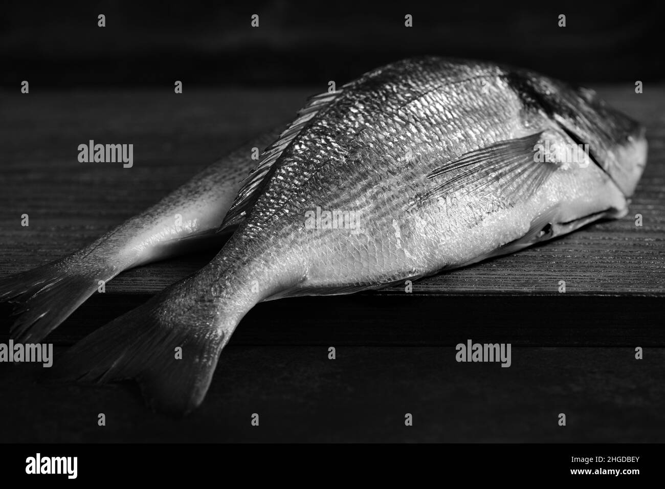 dorado fresco crudo su legno. Foto in bianco e nero. Mockup per ristorante di pesce, negozio o mercato. Foto Stock