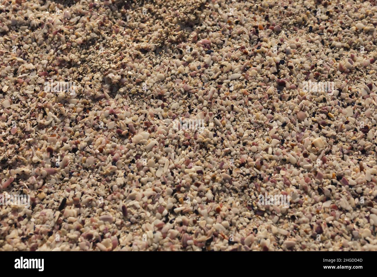 Vista a tutta altezza del telaio dei grani di sabbia con texture ruvida sulla spiaggia Foto Stock