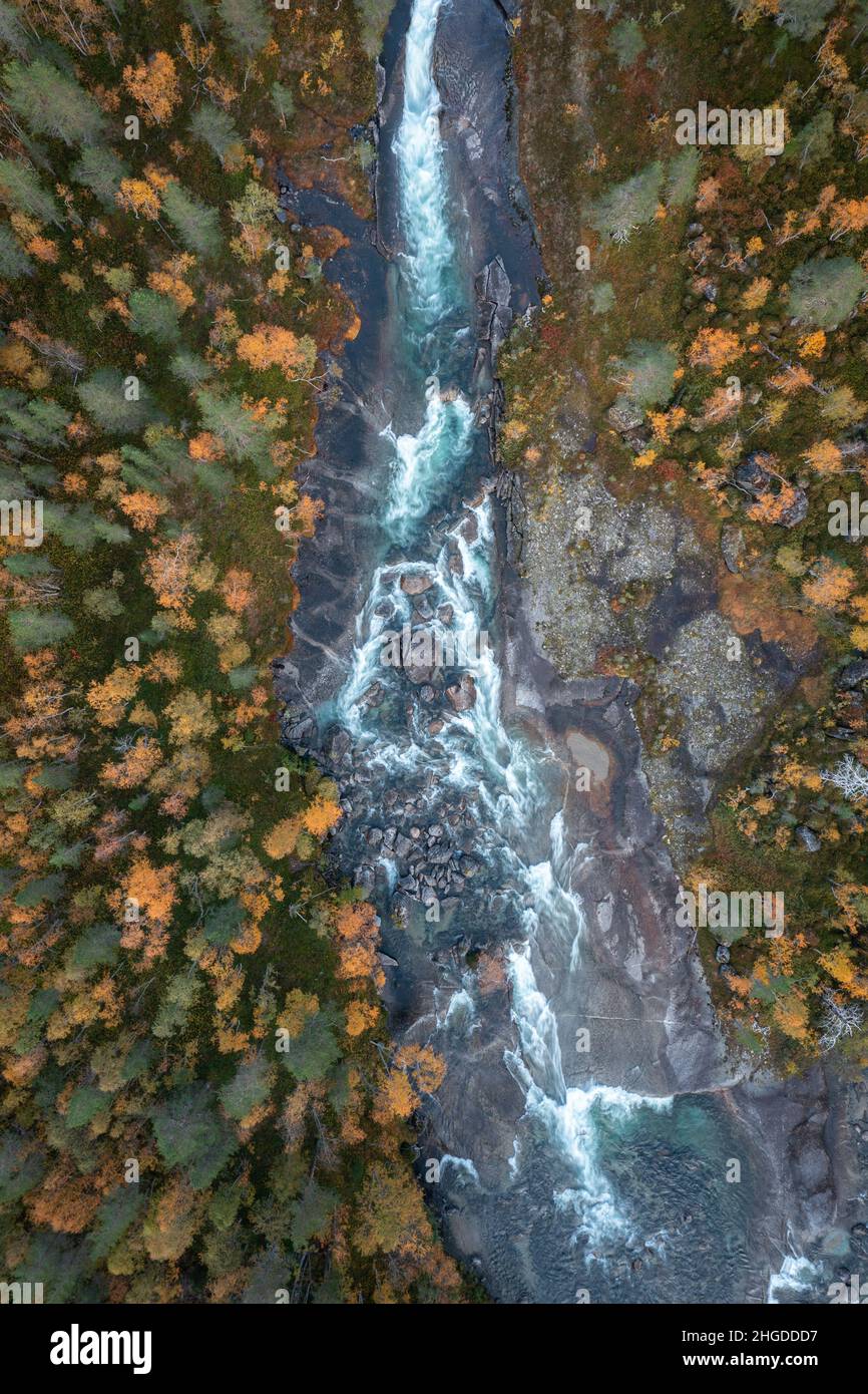 Fiume in autunno paesaggio con tre. Foto Stock