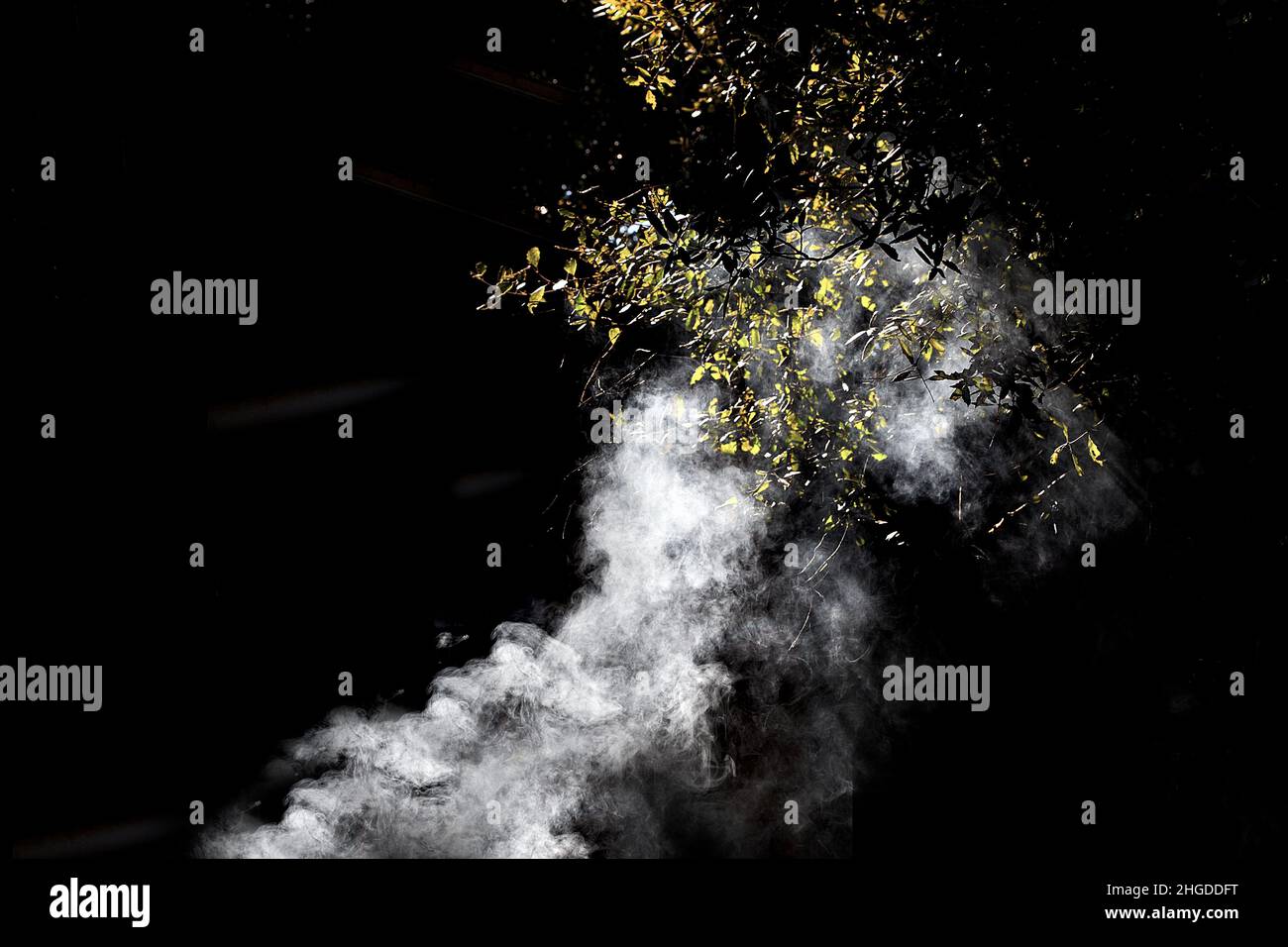Fumo che sale attraverso rami. Foto Stock