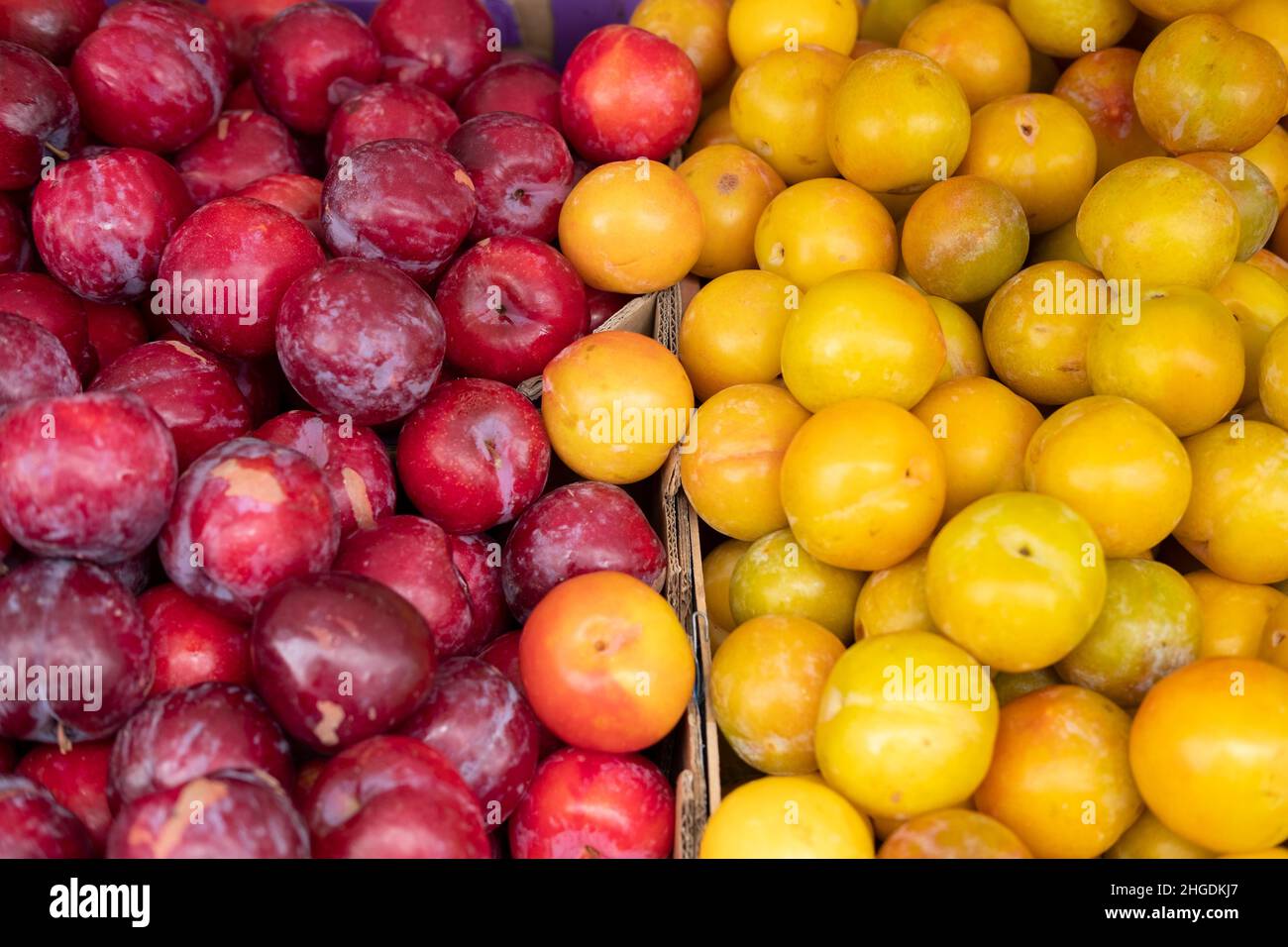 Prugne rosse e gialle, stalla di mercato Foto Stock