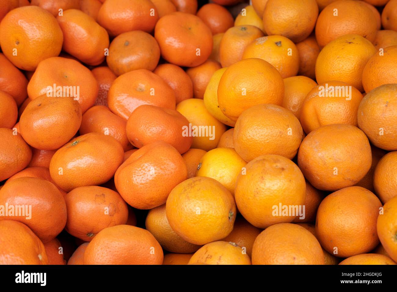 Satsuma mandarini e arance in vendita sul mercato agricolo Foto Stock