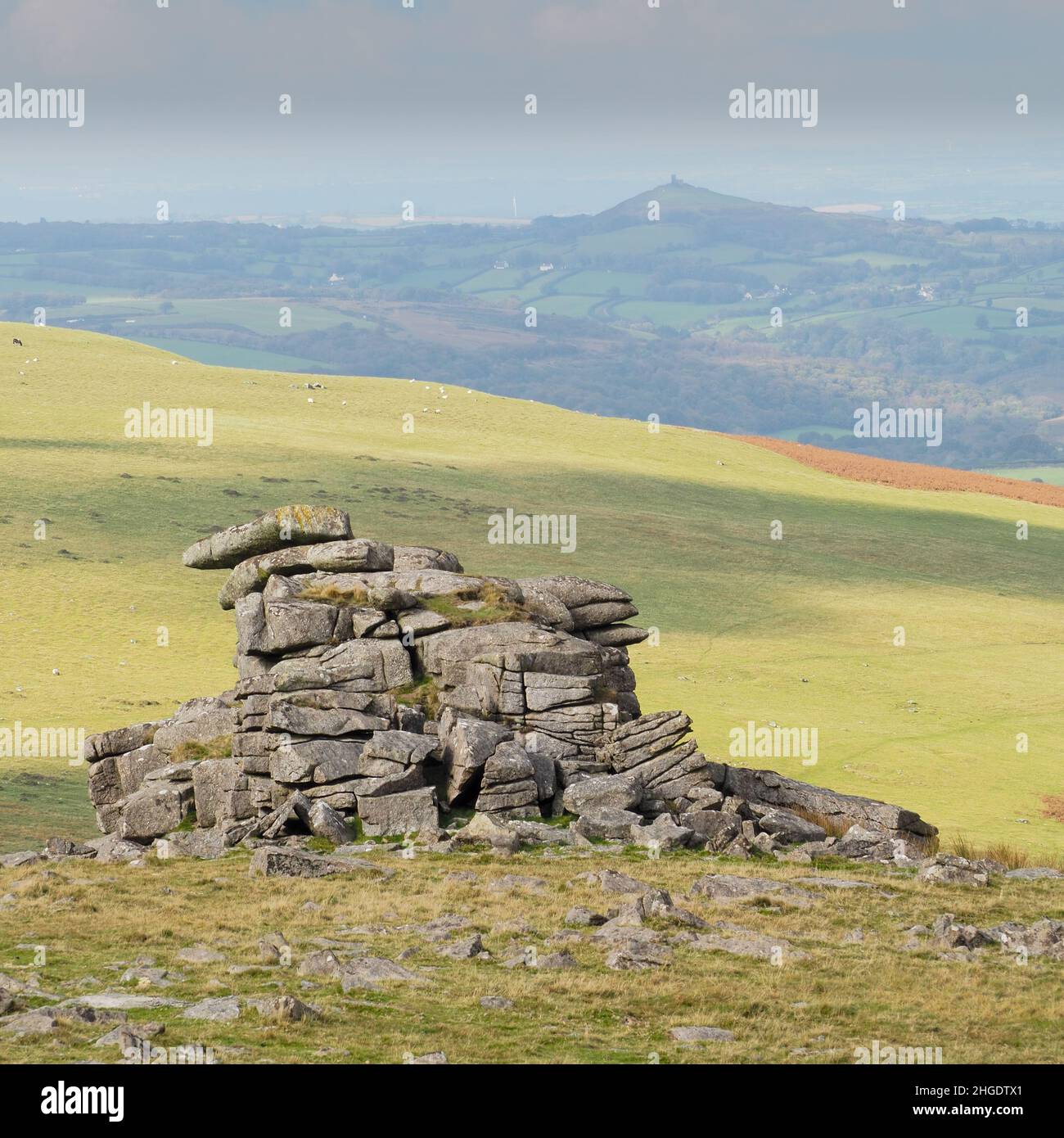 Grande pietra Staple Tor si affaccia Brent Tor, Dartmoor National Park, Devon Foto Stock