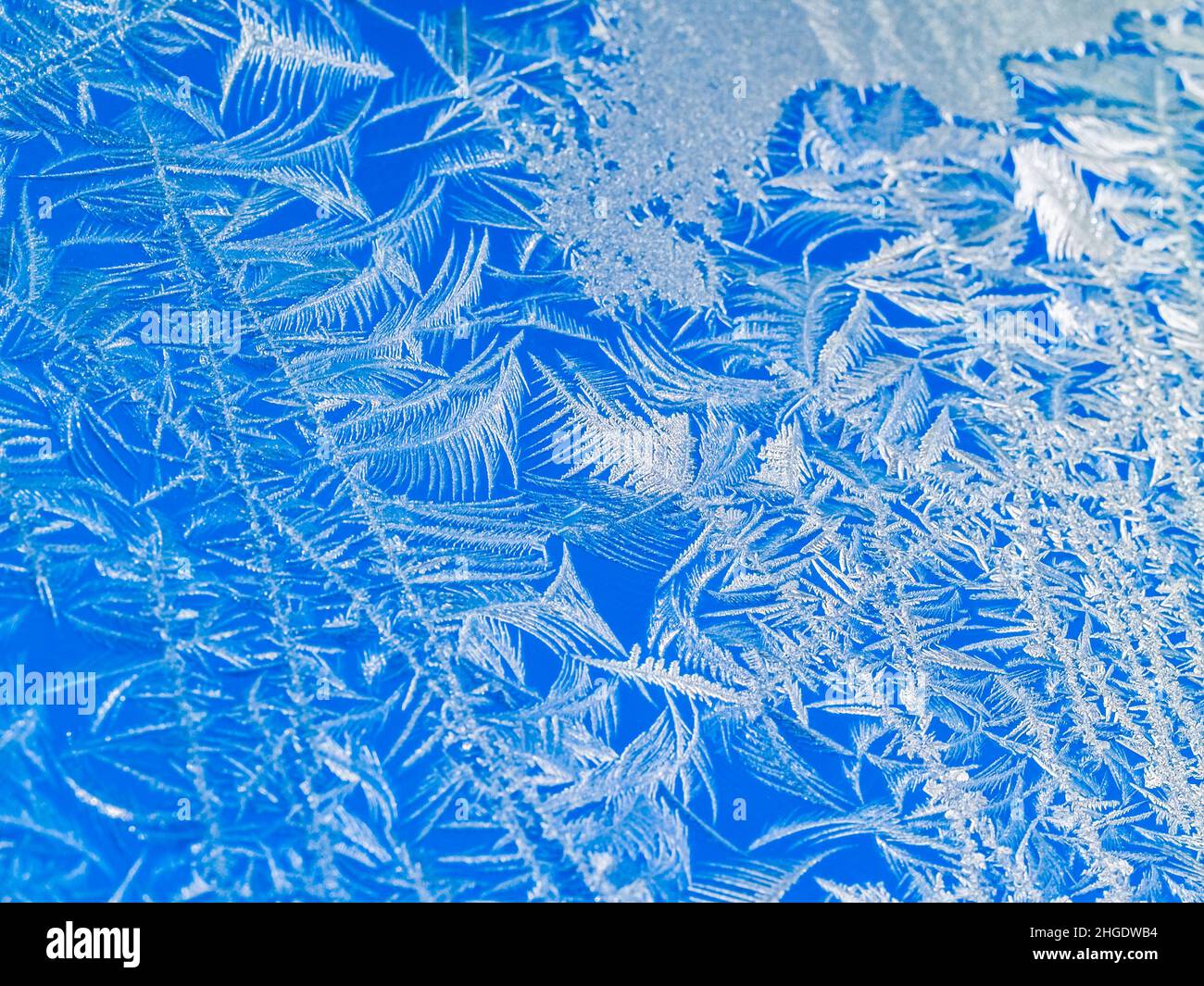 Motivi di cristallo frost sul vetro della finestra Foto Stock