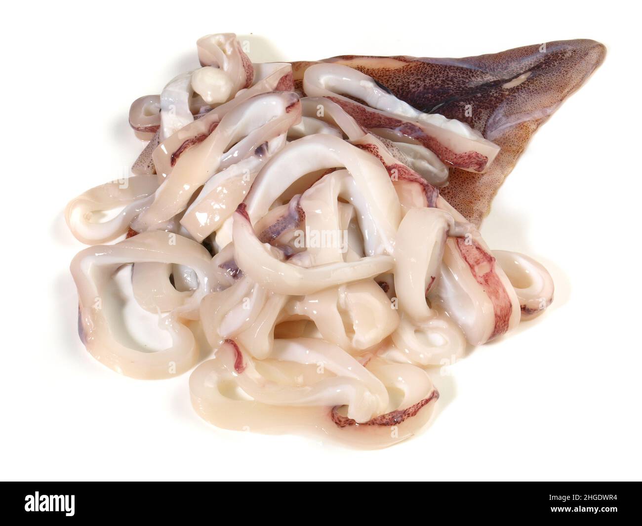 Polpo crudo, Calmar con anelli Calamari isolati su sfondo bianco Foto Stock