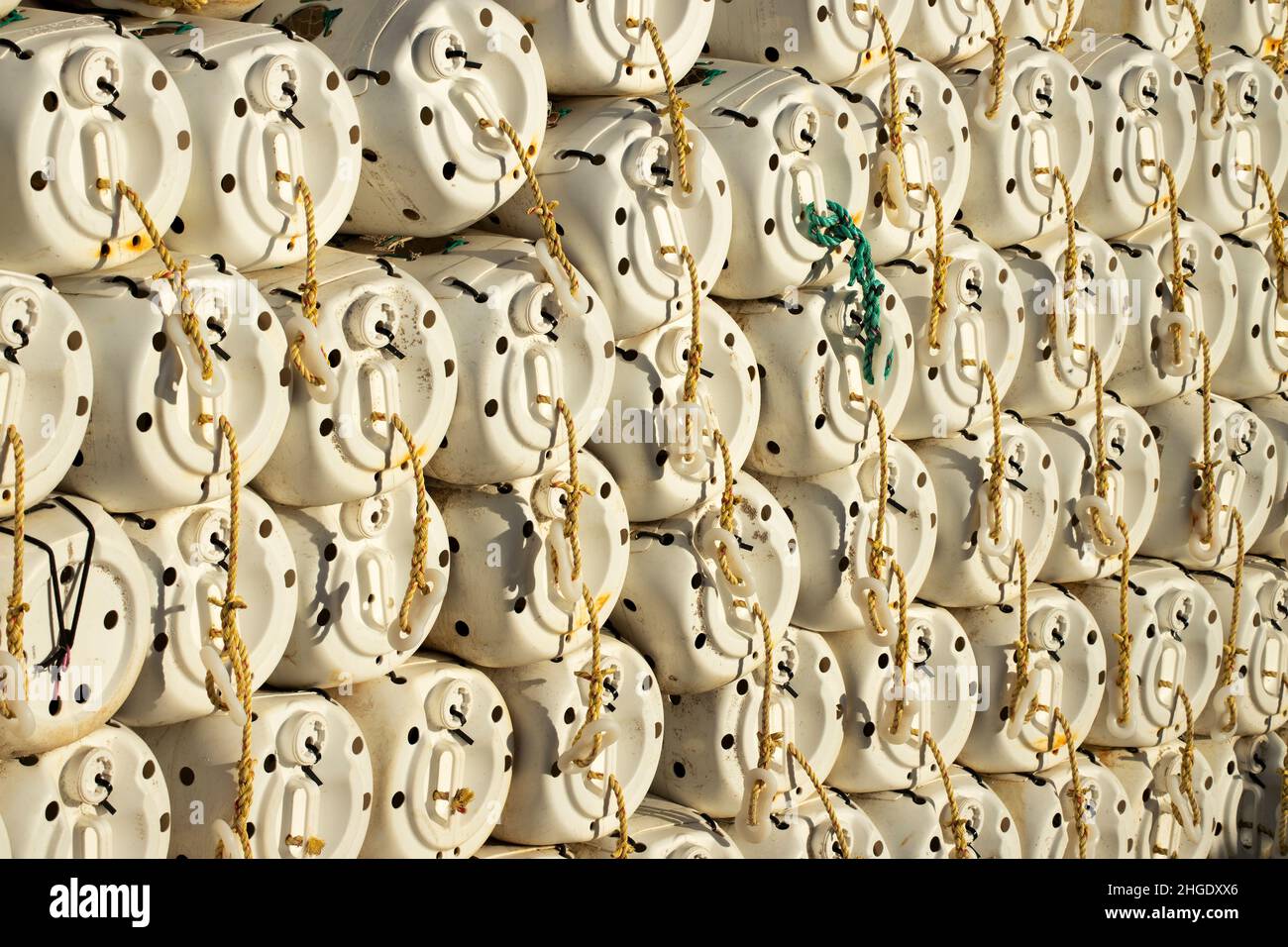 I nuovi vasi di granchio di disegno usano i tamburi bianchi di plastica. Meno costoso da usare dei disegni tradizionali non rompono il ricorso delle industrie di pesca su p inquinante Foto Stock