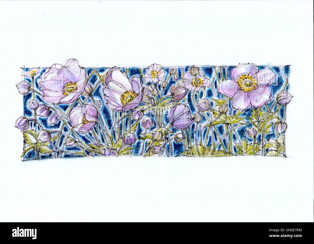 Illustrazione di anemoni giapponesi rosa pallido su sfondo blu. Foto Stock