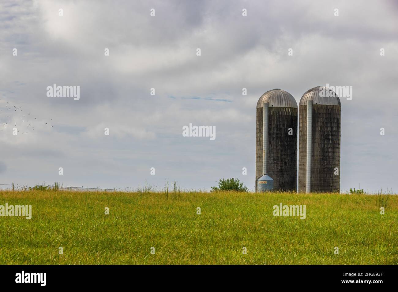 Tennessee orientale rurale, paesaggio agricolo con silo sito su una collina sotto cielo nuvoloso. Foto Stock