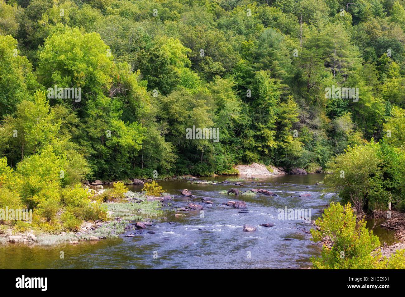 Un piccolo fiume attraversa una foresta nel Tennessee orientale. Foto Stock