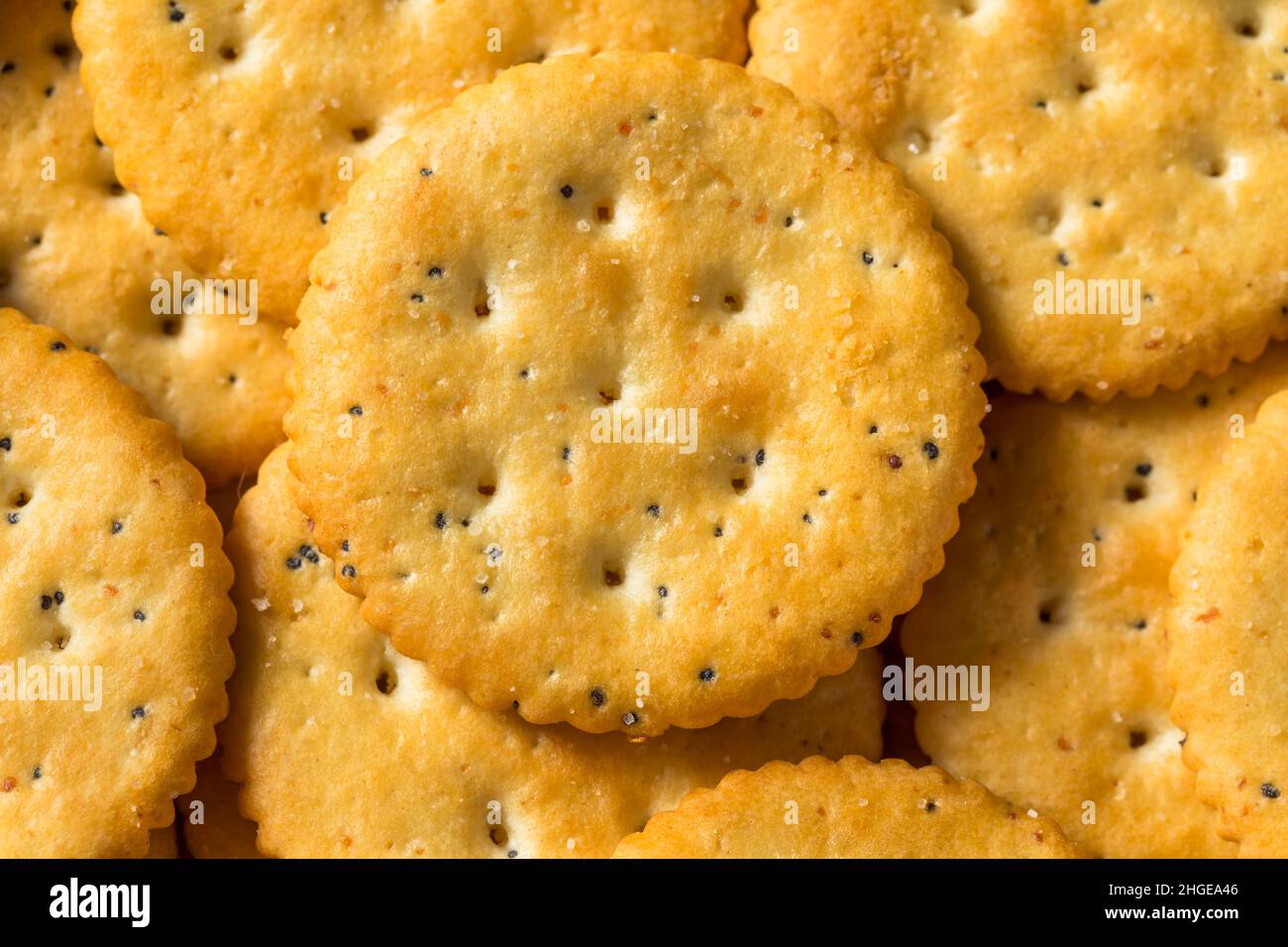 Cracker di grano intero rotondo marrone sano su una piattaforma Foto Stock