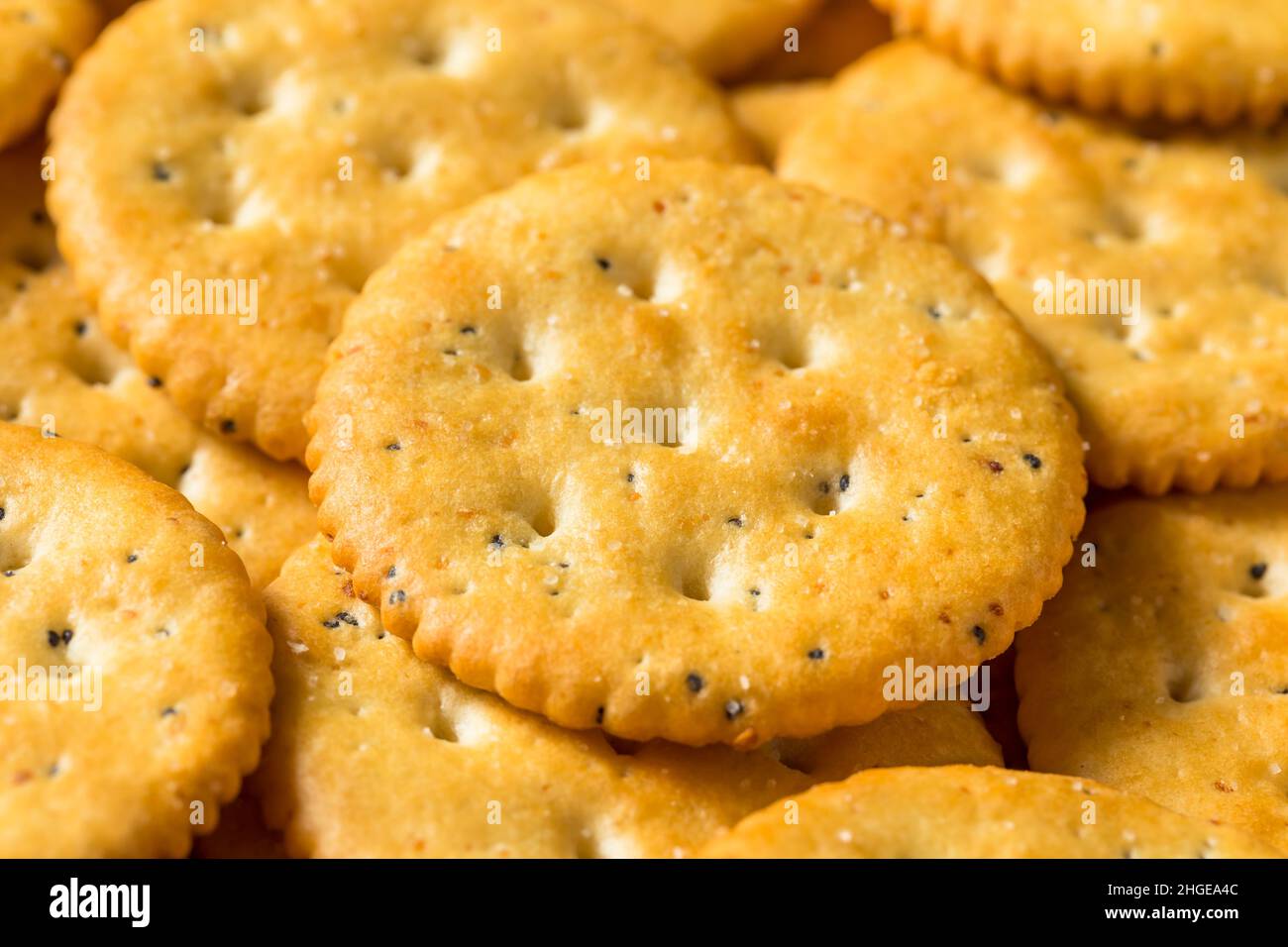 Cracker di grano intero rotondo marrone sano su una piattaforma Foto Stock