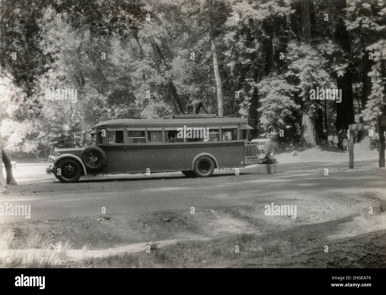 Foto antica del 1931, pullman privato al Sequoia National Park, California, Stati Uniti. FONTE: FOTOGRAFIA ORIGINALE. Vedere Alamy 2HGEAWG e 2HGEAW9 per ulteriori viste di questo autobus. Foto Stock