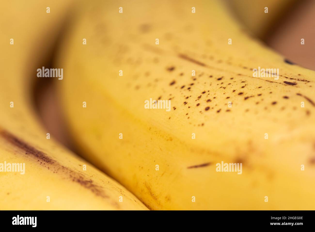 Banane mature con macchie nere. Primo piano di frutta a banana giallo dolce su una tavola di bambù. Foto Stock