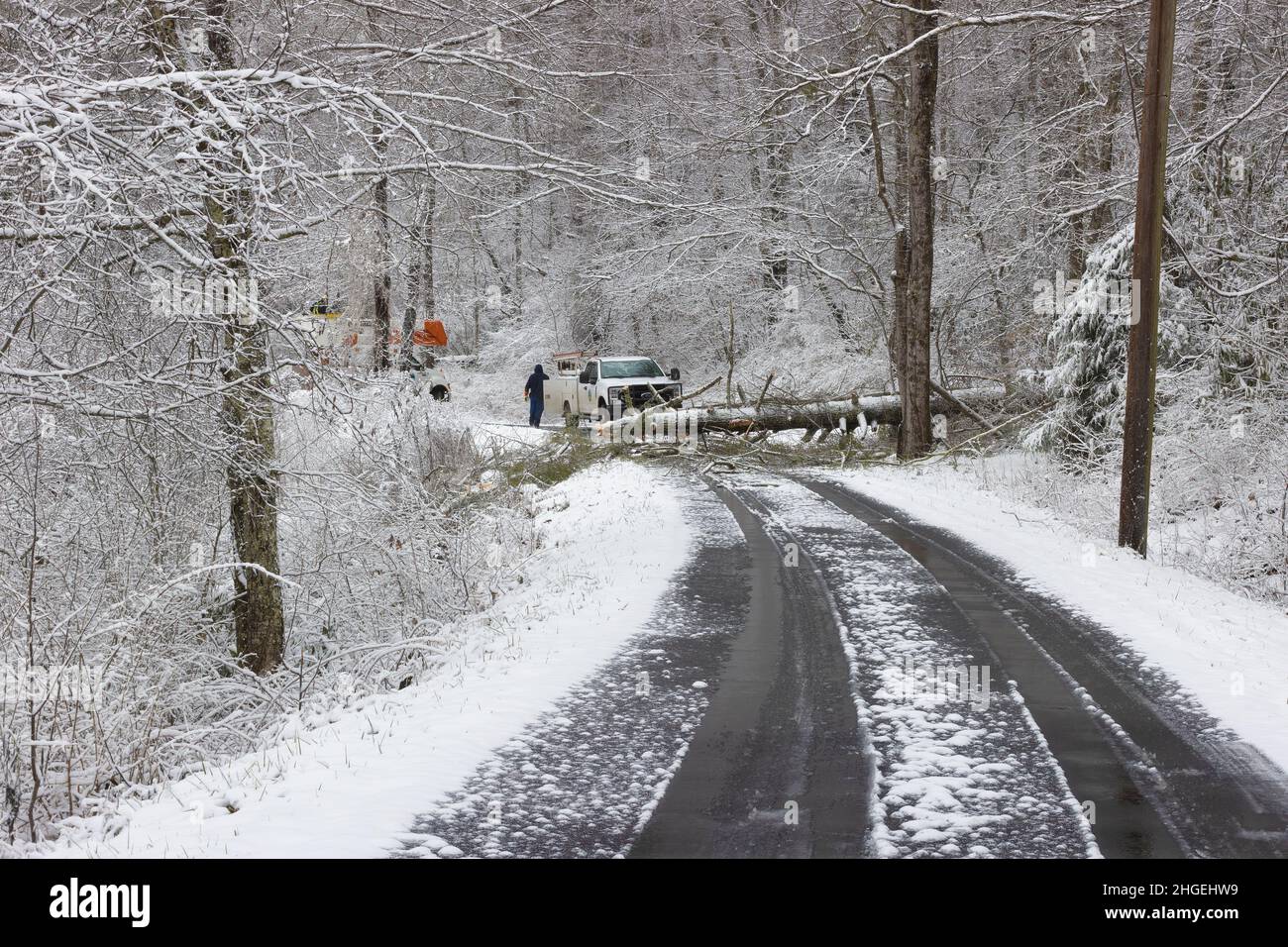 Pineu Flats, Tennessee, Stati Uniti d'America - 16 gennaio 2022: Scena invernale di un albero giù che blocca una strada mentre un equipaggio di potere lavora per rimuoverla. Foto Stock