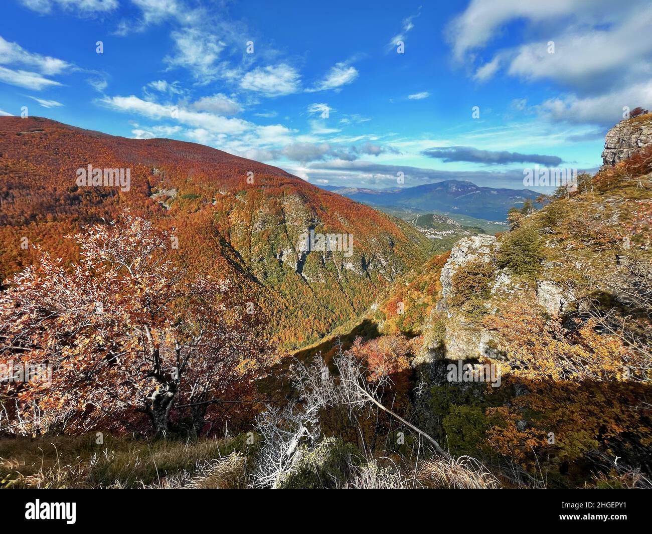 Panorama autunnale della foliazione nella foresta di Monte Cusna, Reggio Emilia, Italia Foto Stock