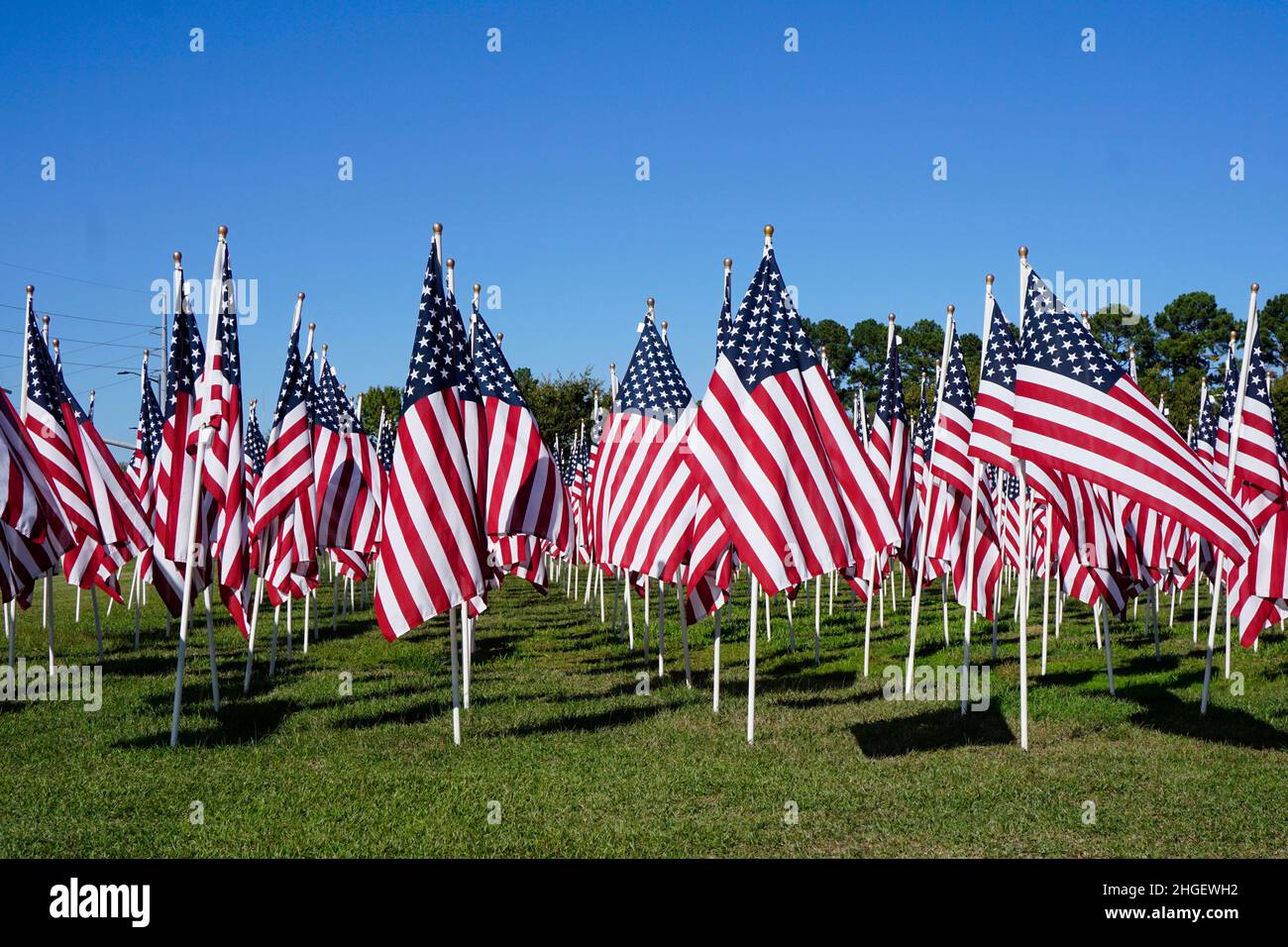 Campo di bandiere americane immagini e fotografie stock ad alta risoluzione