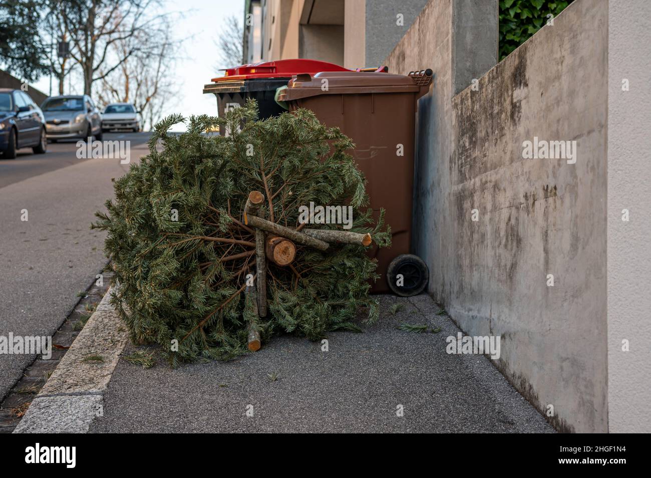 Abbandonati alberi di Natale in strada accanto spazzatura bin dopo le vacanze. Concetto di ecologia, rifiuti e ambiente. Foto Stock