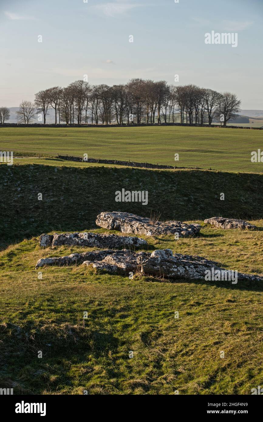 Arbor Low Stone Circle, Derbyshire, Regno Unito Foto Stock