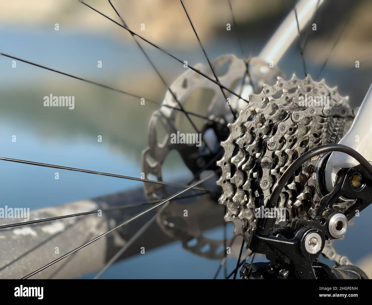 Vista ravvicinata degli ingranaggi e delle catene su una ruota per bicicletta. Foto Stock