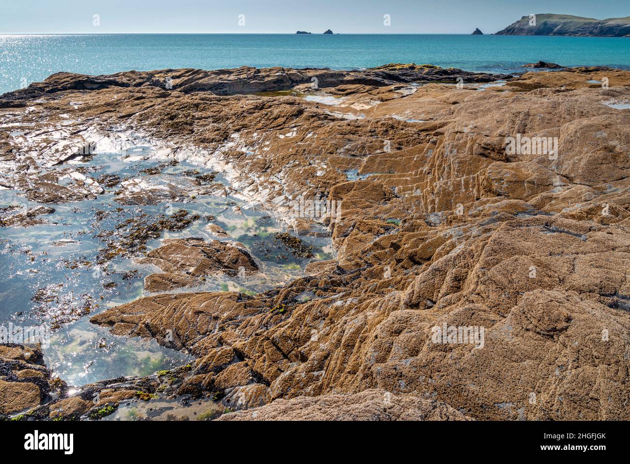 Primo piano dettagliato di rocce frastagliate, sparse lungo la costa della Cornovaglia, nel pomeriggio soleggiato estate, intorno alle insenature della spiaggia, indicativo di Cornovaglia.Trevos Foto Stock