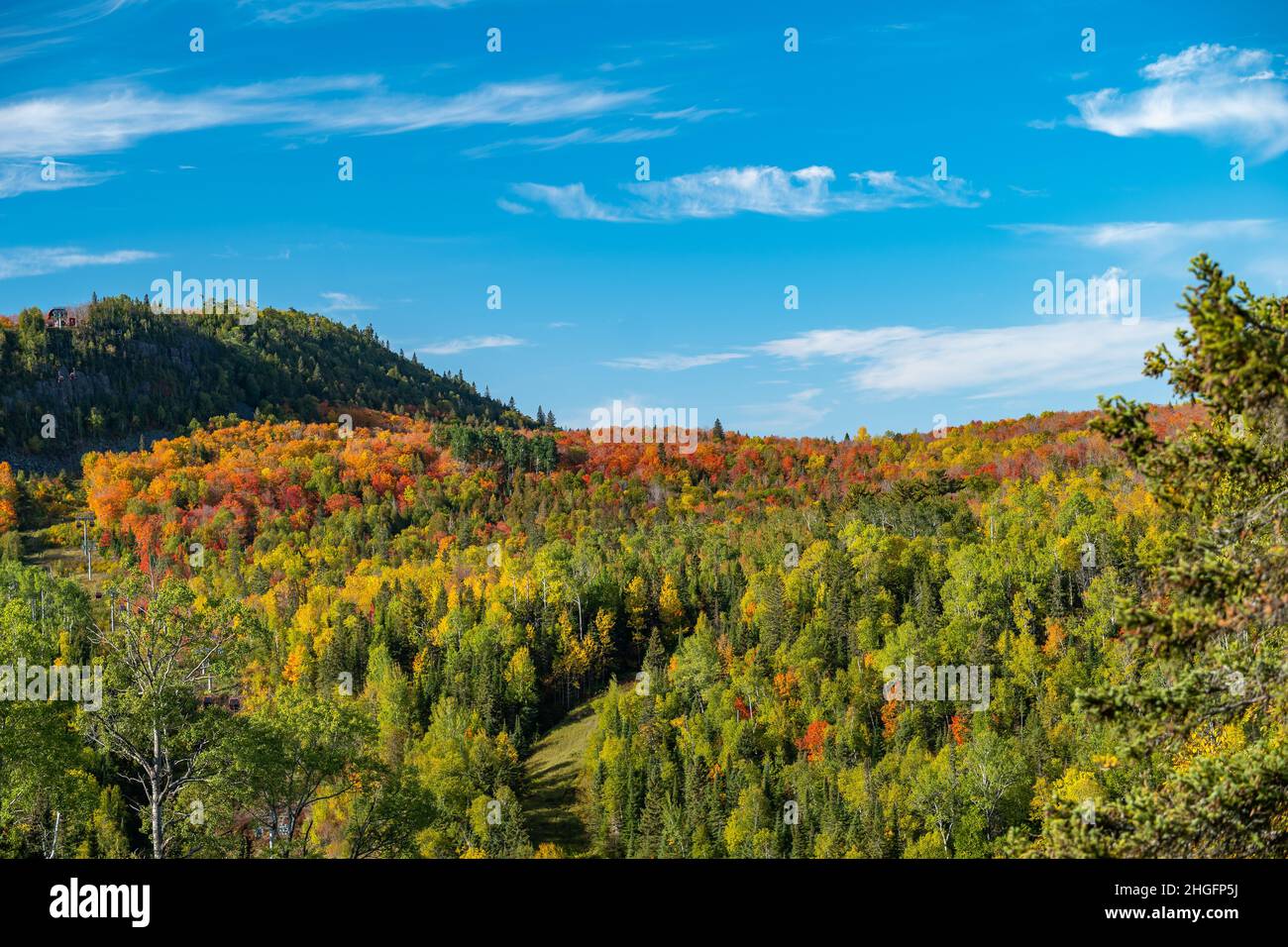 Bella foglia di colori autunnali su una collina nel nord del Minnesota, in una giornata di sole con cielo blu e alcune nubi bianche wispy. Foto Stock