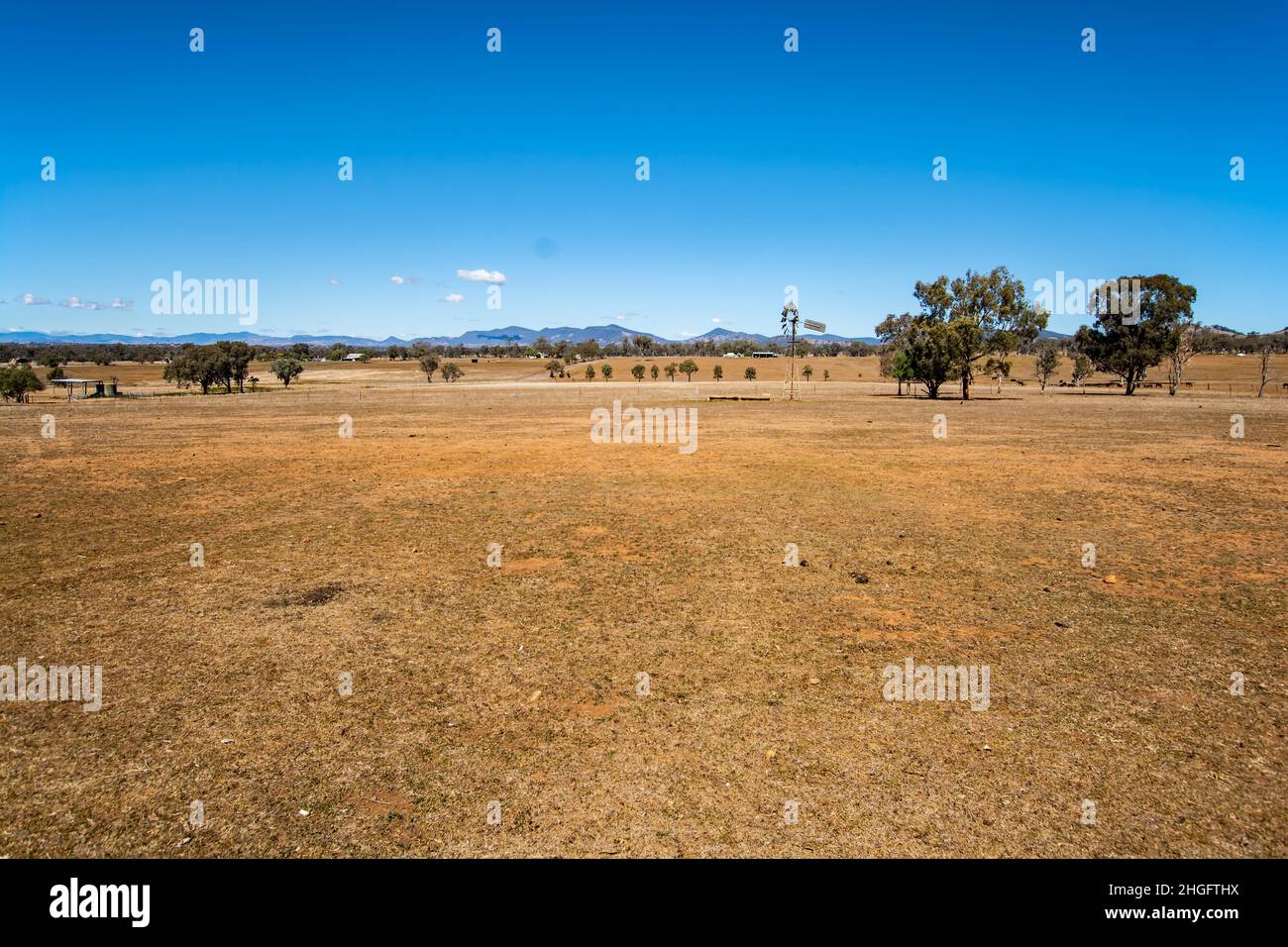 La siccità ha colpito il paddock, Tamworth Australia Foto Stock
