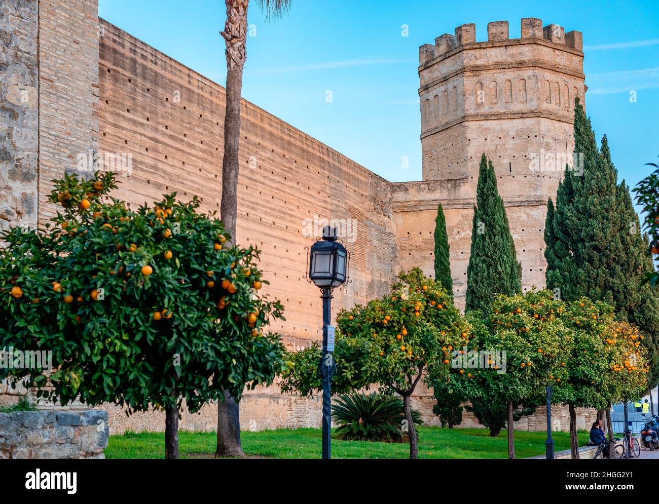 La torre ottagonale e le mura della vecchia Alcazar moresca che oggi ospita un parco.Jerez de la Frontera, Andalusia, Spagna. Foto Stock